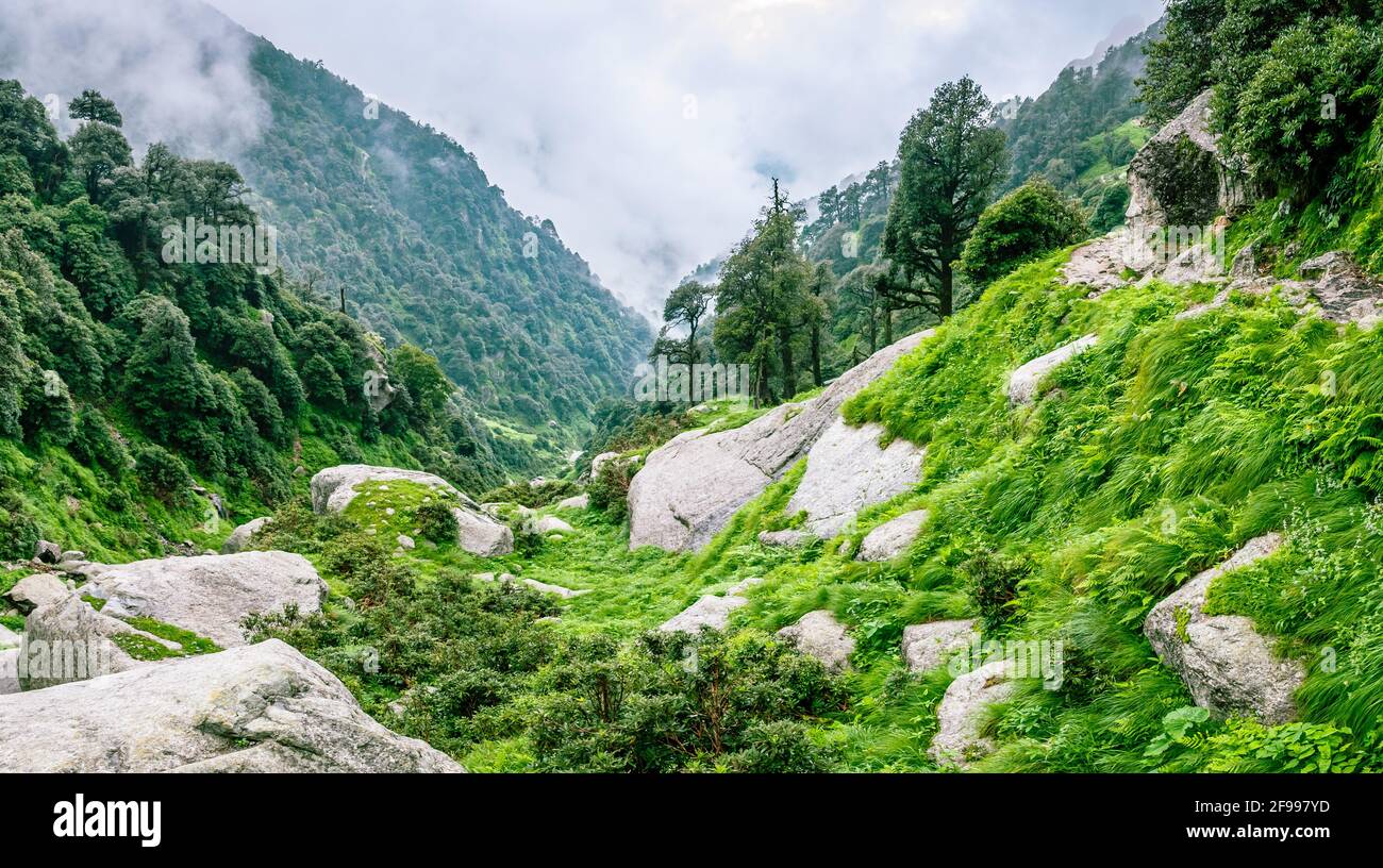 Ammira il percorso escursionistico di Triund attraverso il lussureggiante paesaggio verde di Mcleodganj, Dharamsala, Himachal Pradesh, India. La cima della collina di Triund offre una vista di hi Foto Stock