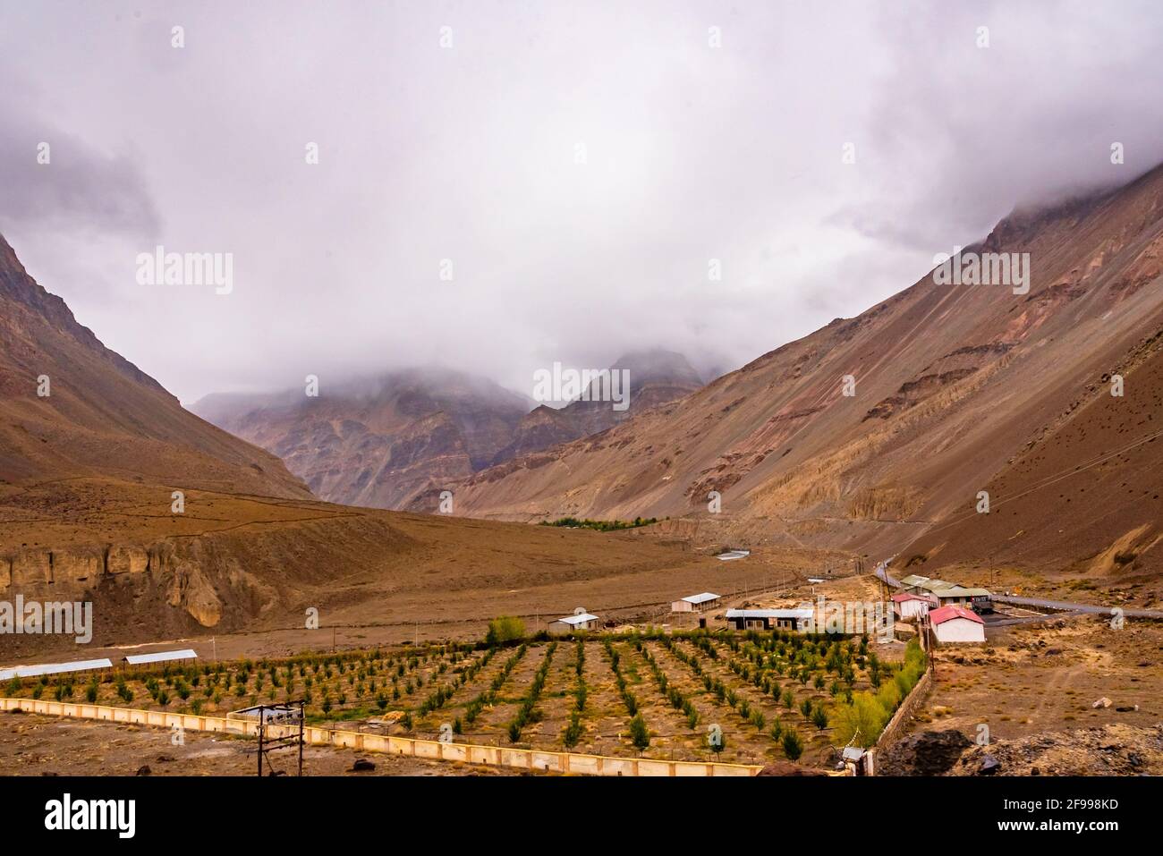 Arido paesaggio desertico freddo della valle di montagna di Spiti situato in alto nella regione ombreggiata da pioggia dell'Himalaya in Himachal Pradesh, India. Foto Stock