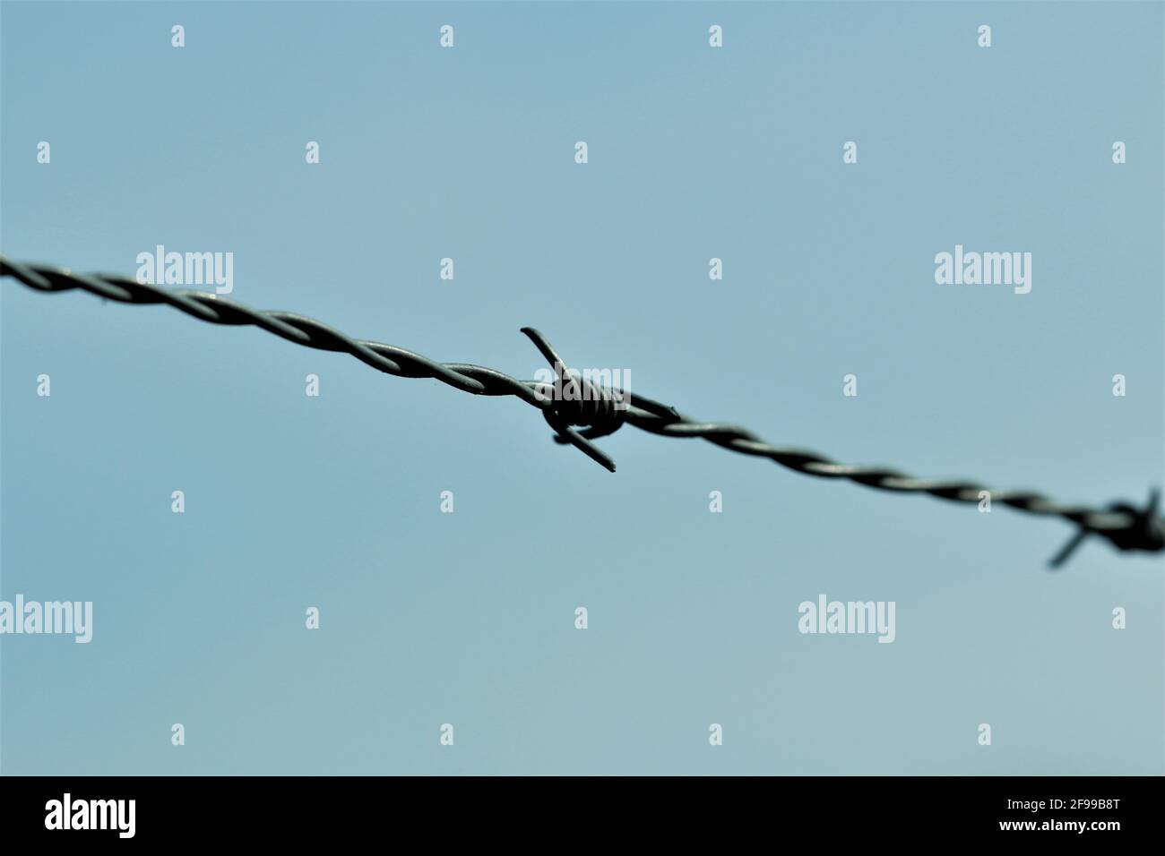 Filo spinato di fronte blu cielo Foto Stock