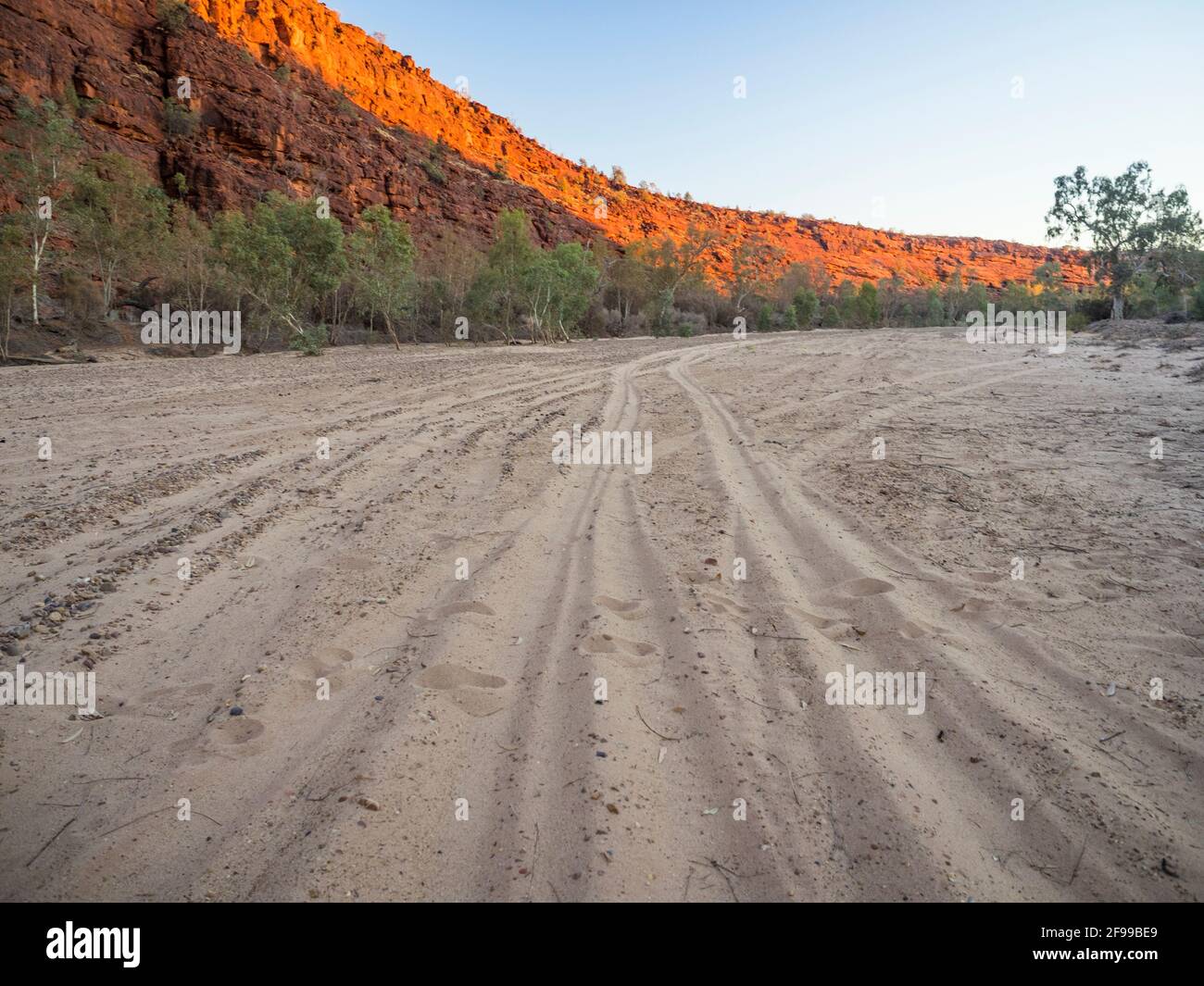 Le ruote solcarono nella sabbia asciutta lungo il Lower Ellery Creek vicino a Finke Gorge, territorio del Nord. Foto Stock