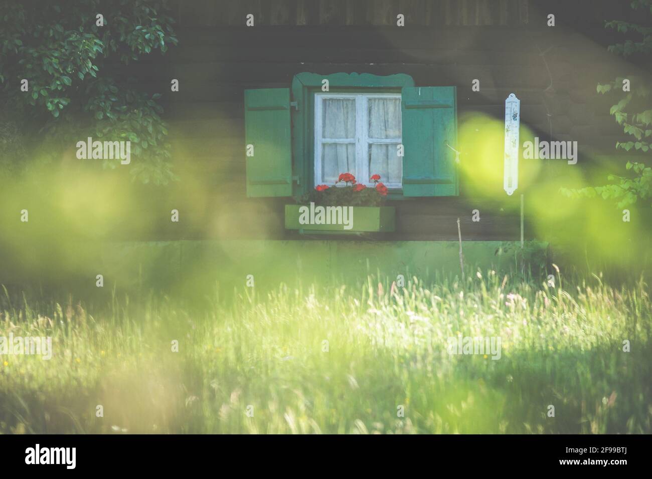 Una finestra con serranda verde in una casa di legno Foto Stock