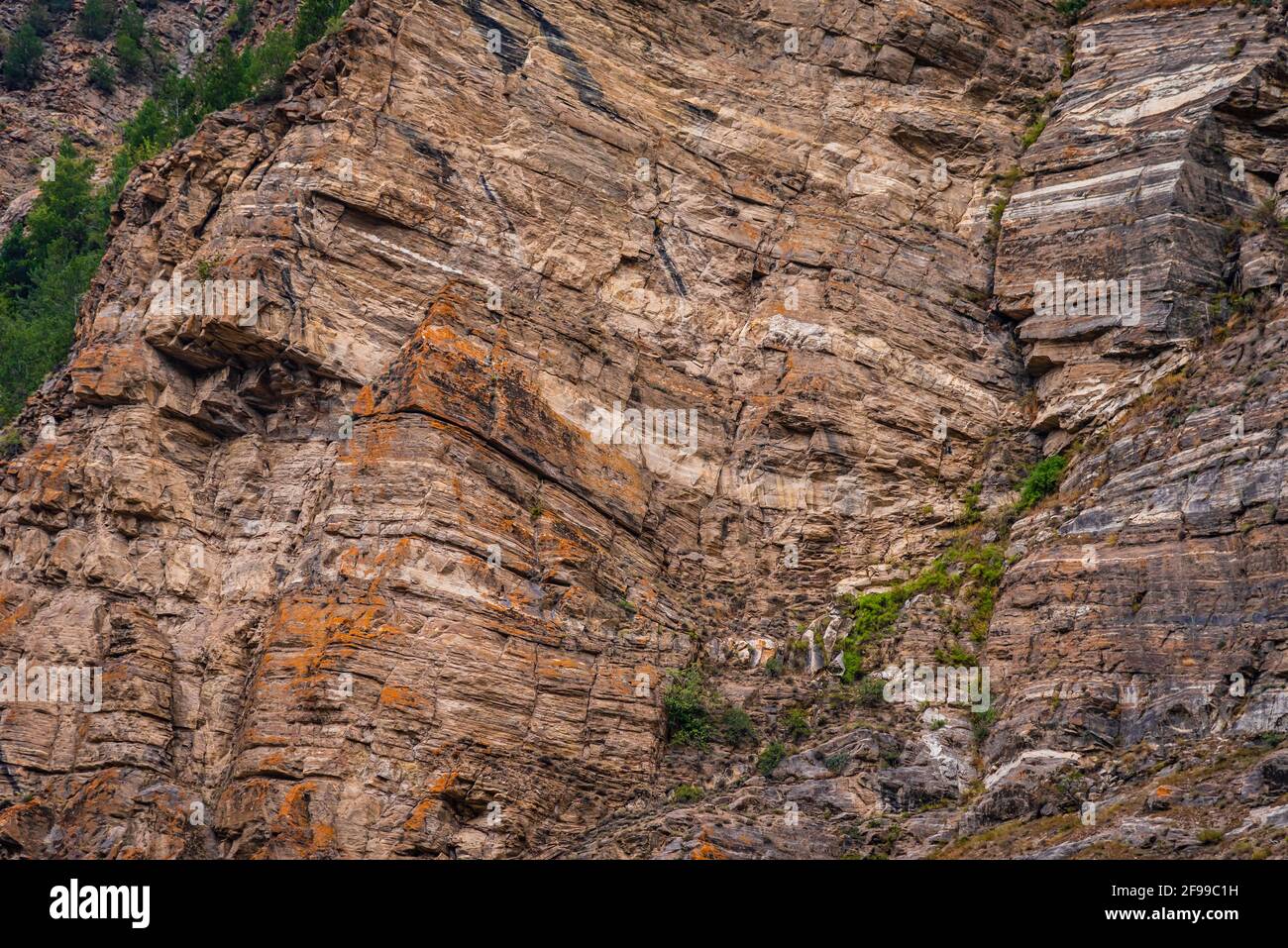 Strati di rocce calcaree, è una roccia sedimentaria si forma quando strati di frammenti scheletrici di organismi marini si accumula per sedimentazione poi upi Foto Stock