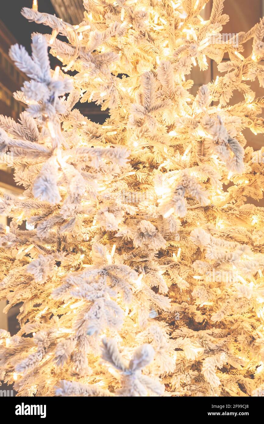 Un albero di Natale - primo piano, con neve artificiale in una calda atmosfera Foto Stock