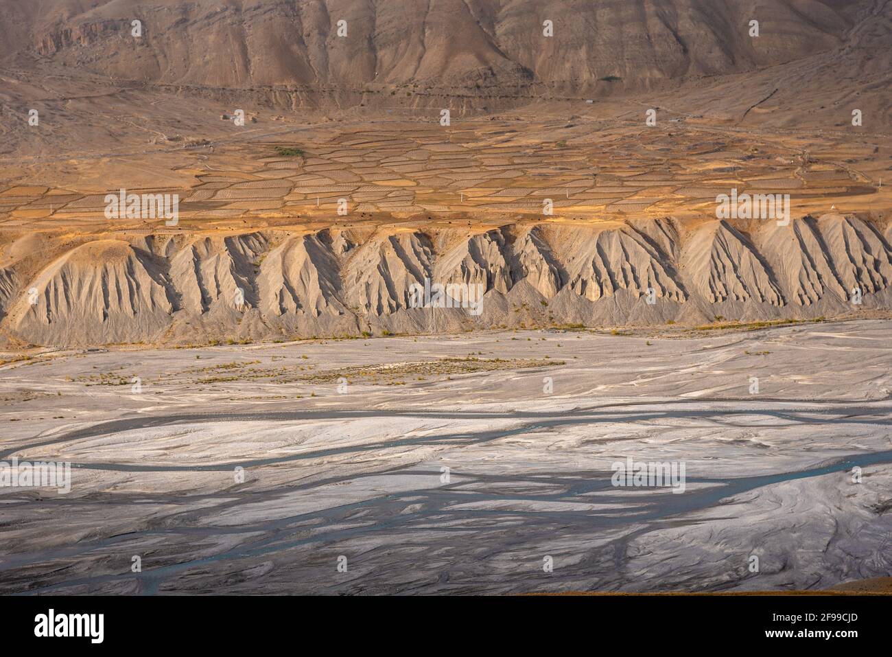 Il paesaggio di erosione di Gully prominente nel deserto freddo di Spiti dovuto i pendii scoscesi e scoscesi e deboli rocce geologiche di fango non consolidate. Erosione del fiume anche vi Foto Stock