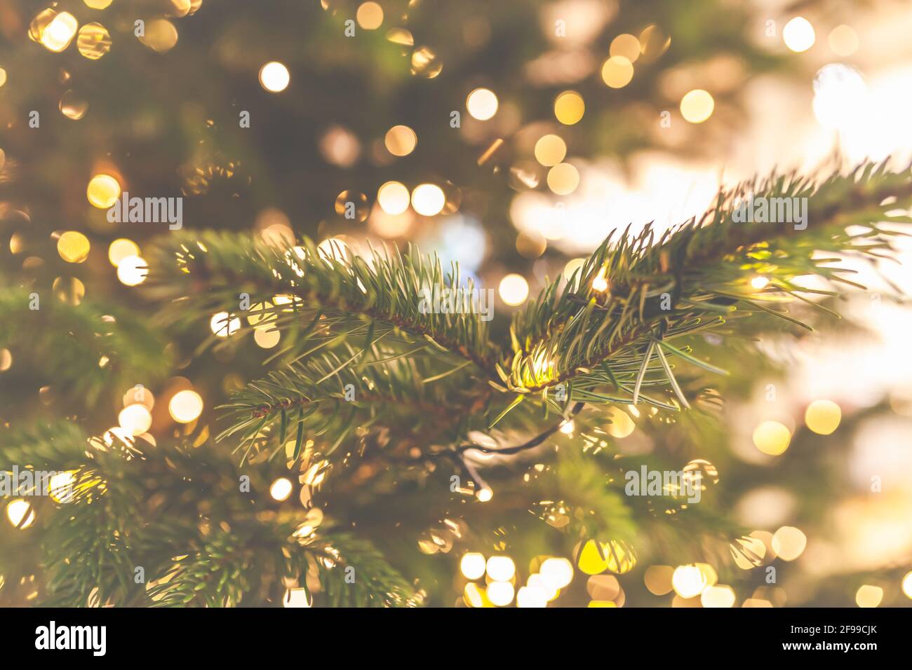 Un albero di Natale con luci - un ramo, primo piano Foto Stock