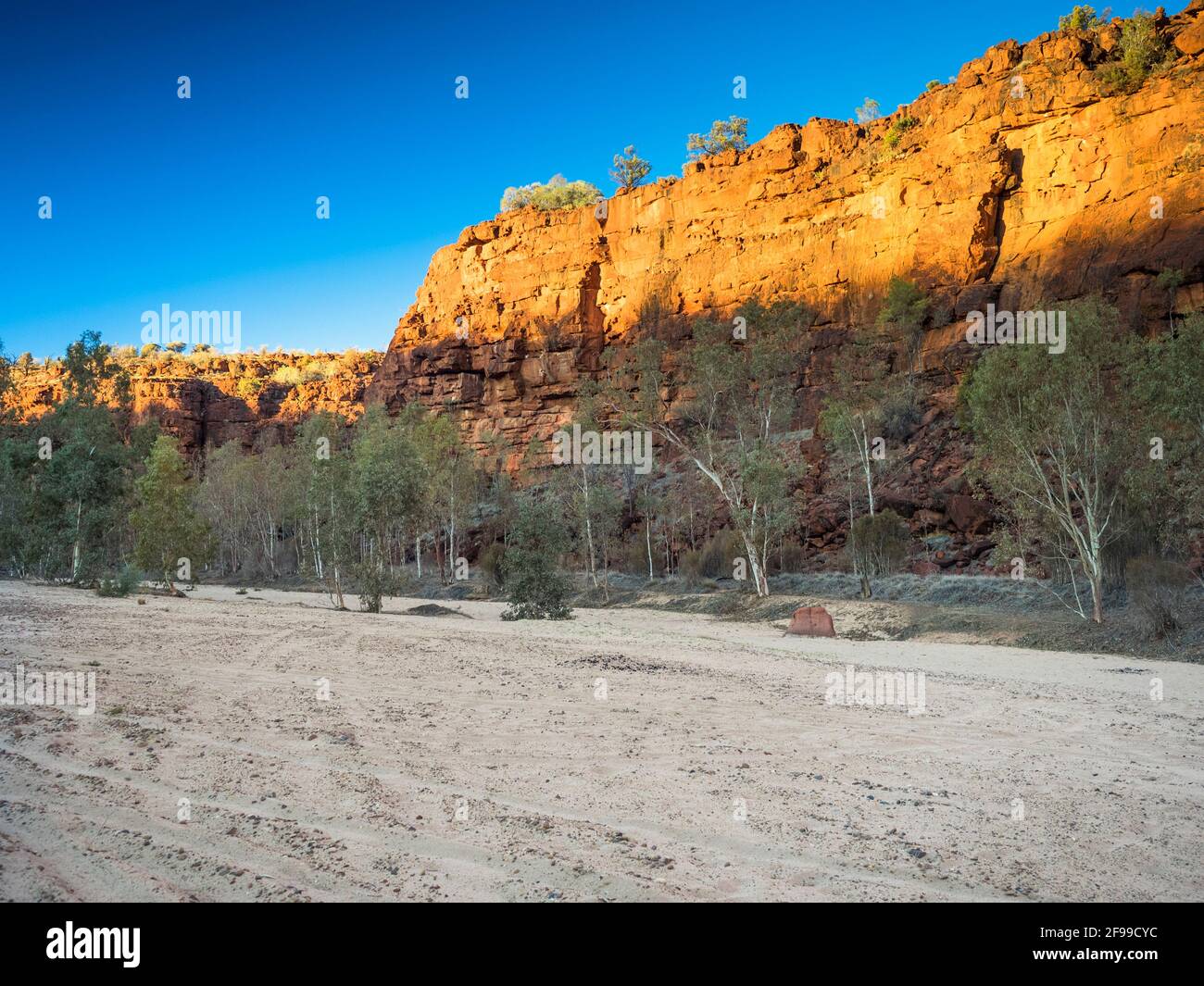 Le ruote solcarono nella sabbia asciutta lungo il Lower Ellery Creek vicino a Finke Gorge, territorio del Nord. Foto Stock