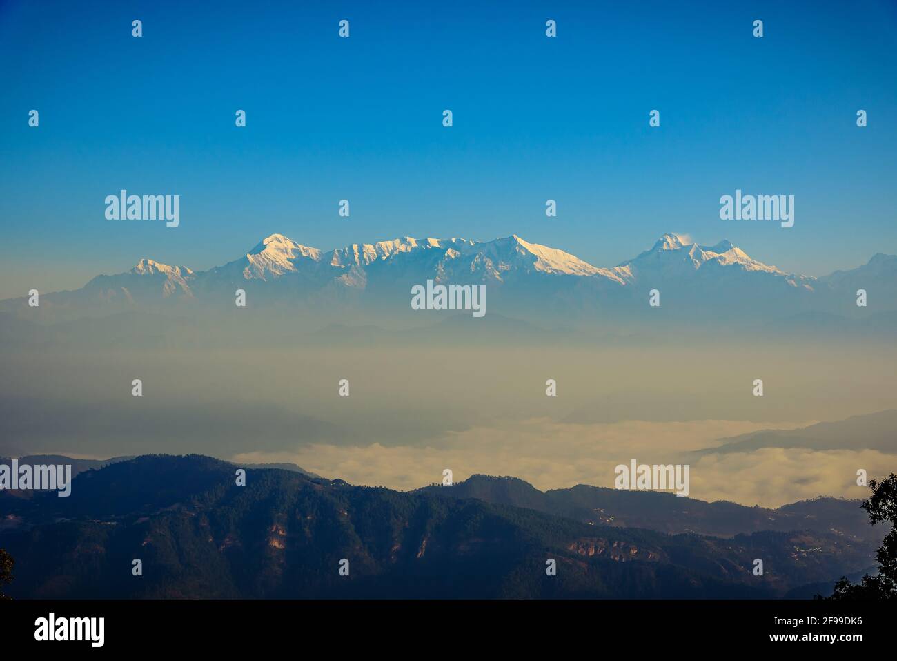 Vista di Himalays durante l'alba a Binsar, una stazione collinare nel distretto di Almora, Uttarakhand, India. Foto Stock