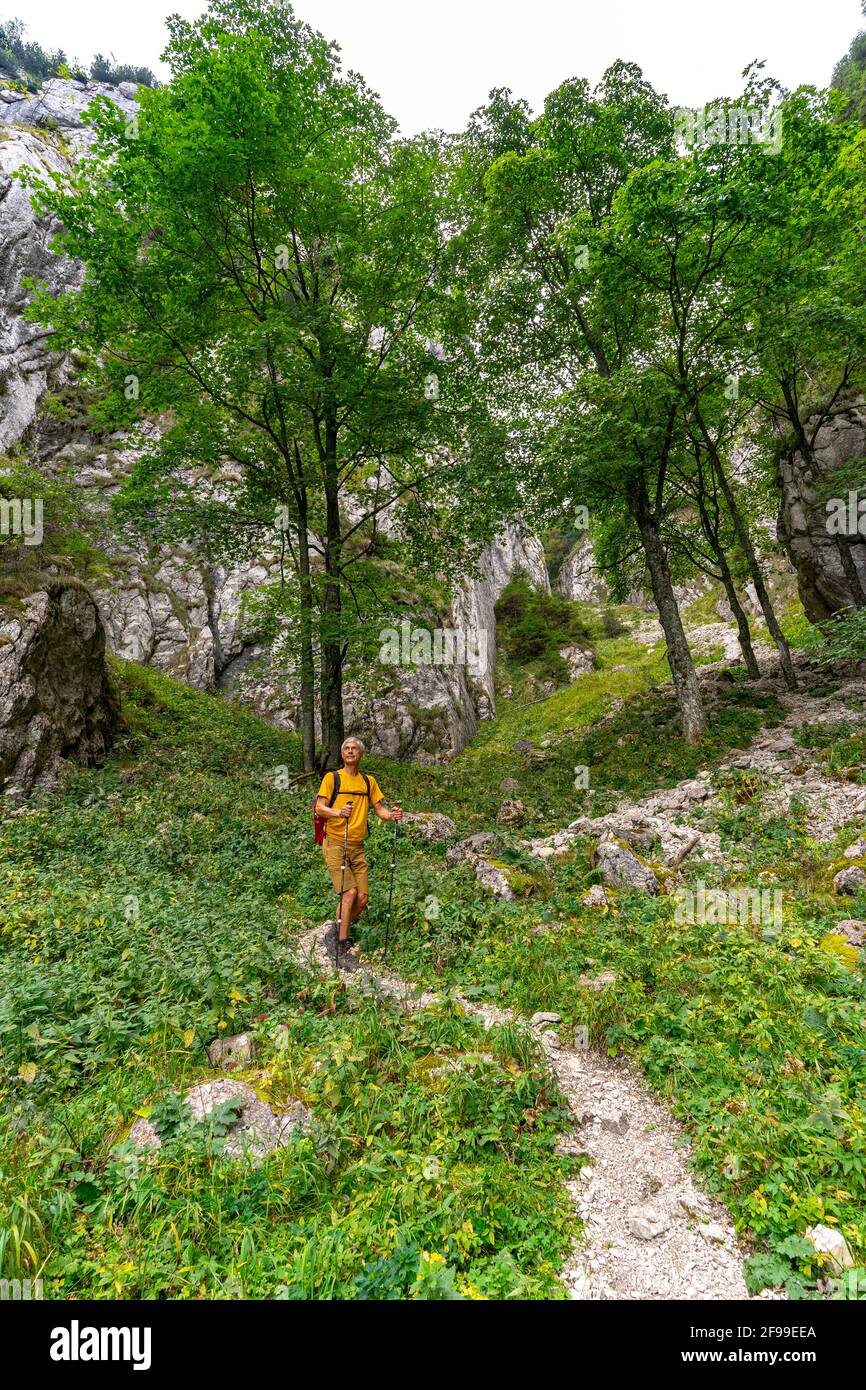Escursione nei Carpazi meridionali, Romania Foto Stock