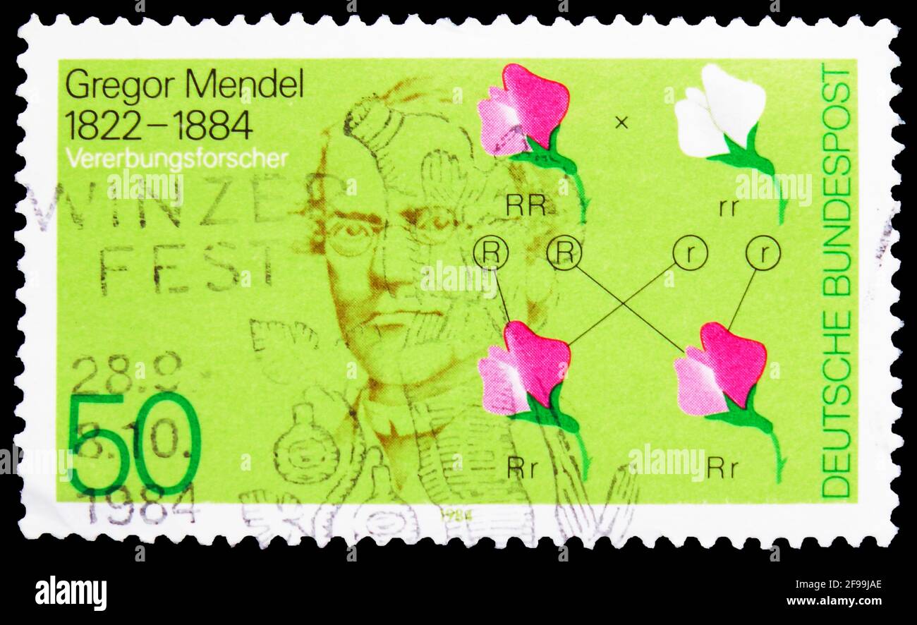 MOSCA, RUSSIA - 4 NOVEMBRE 2019: Francobollo stampato in Germania mostra Gregor Mendel e Genetic Diagram, Mendel, Gregor Johann (genetista) serie, Foto Stock