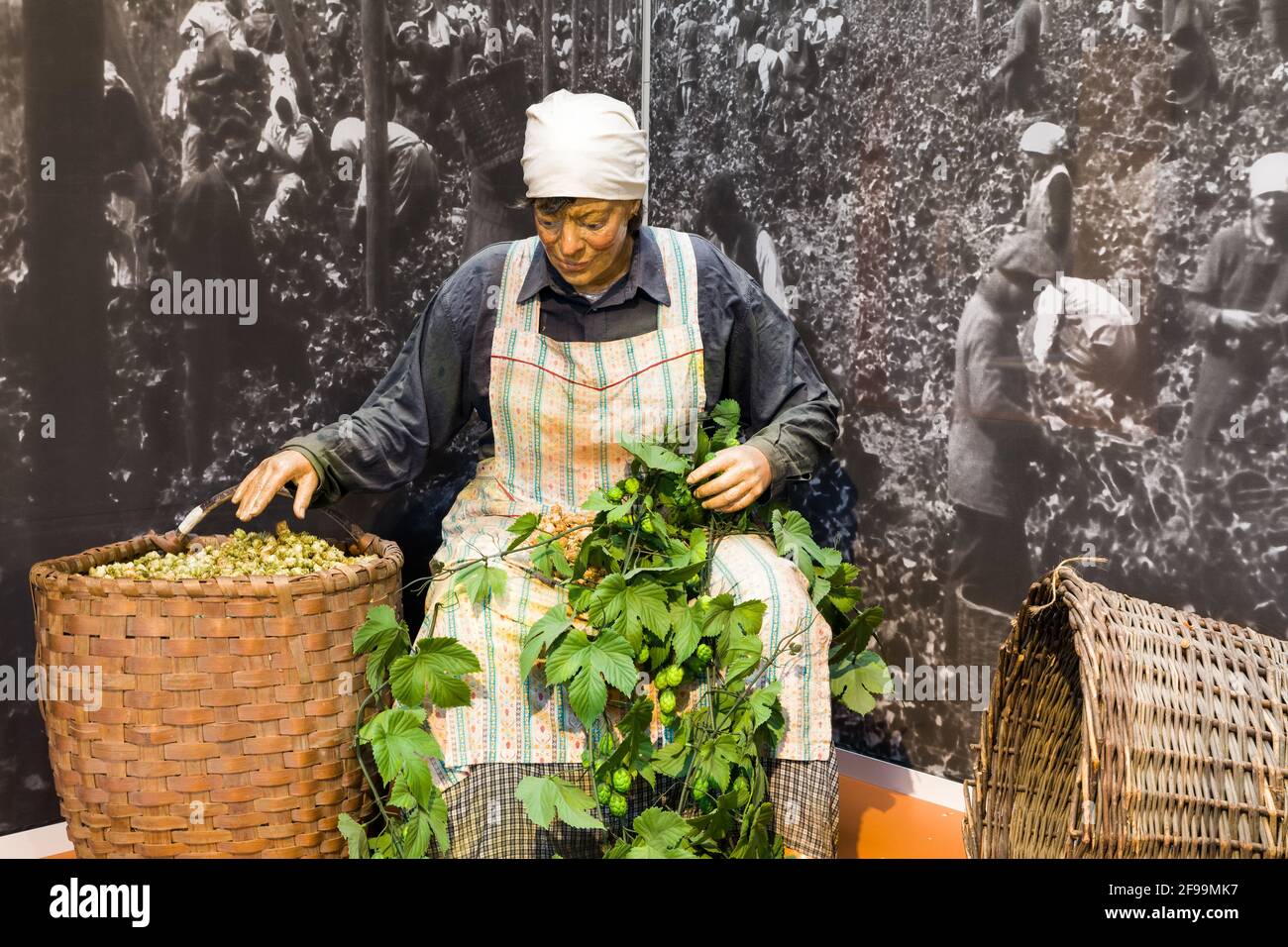 Museo tedesco del luppolo, Wolnzach, Baviera Foto Stock