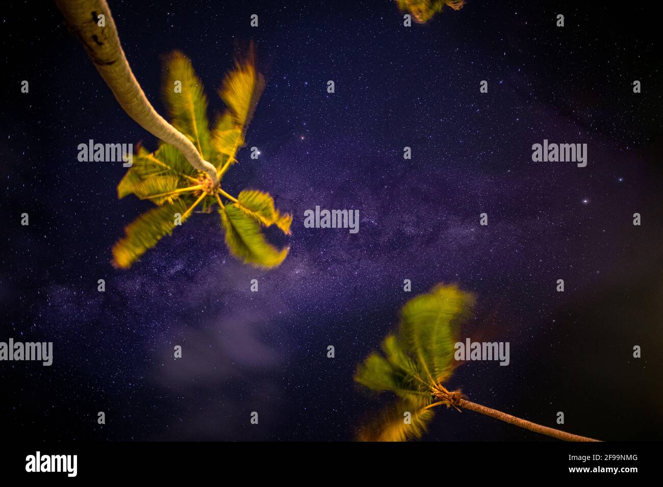 Notte scattata con palme e modo lattiginoso sullo sfondo, calda notte tropicale. Il cielo notturno con stelle, meteoriti, vie lattose e nuvole sulla spiaggia Foto Stock