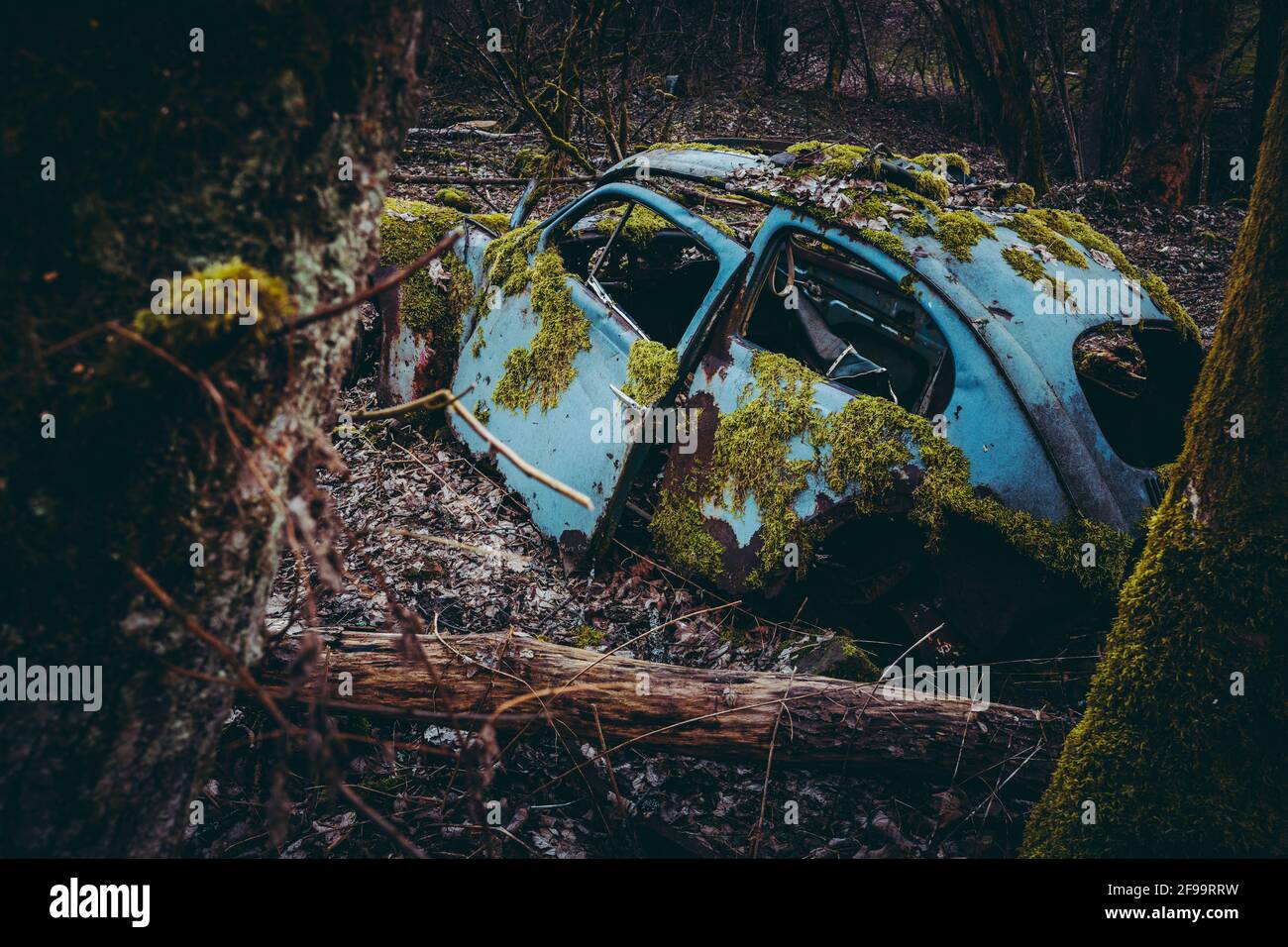 Auto vecchia, cimitero auto, rottami di metallo, foresta, Baden-Wuerttemberg, Germania, Europa Foto Stock