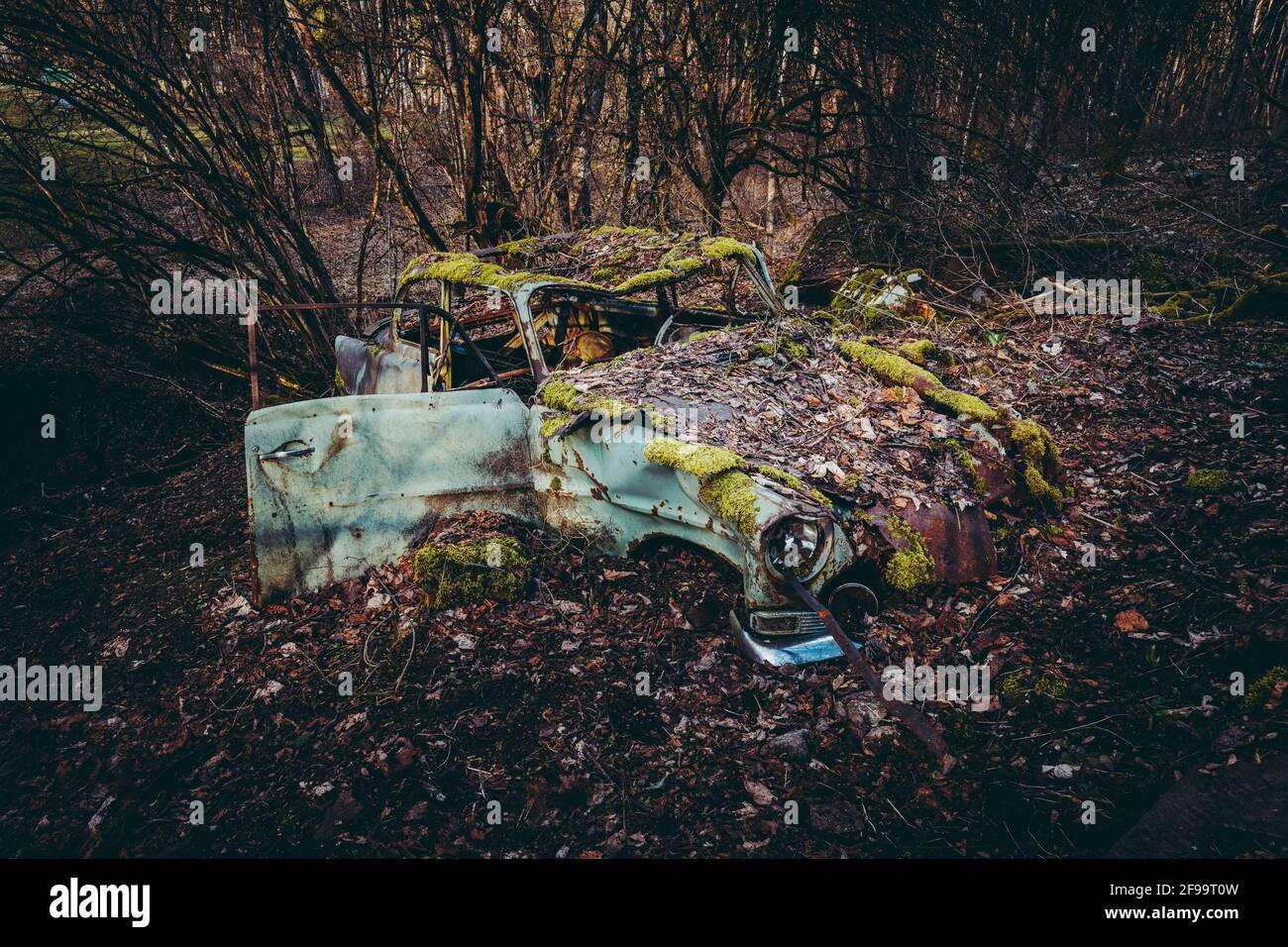 Auto vecchia, cimitero auto, rottami di metallo, foresta, Baden-Wuerttemberg, Germania, Europa Foto Stock