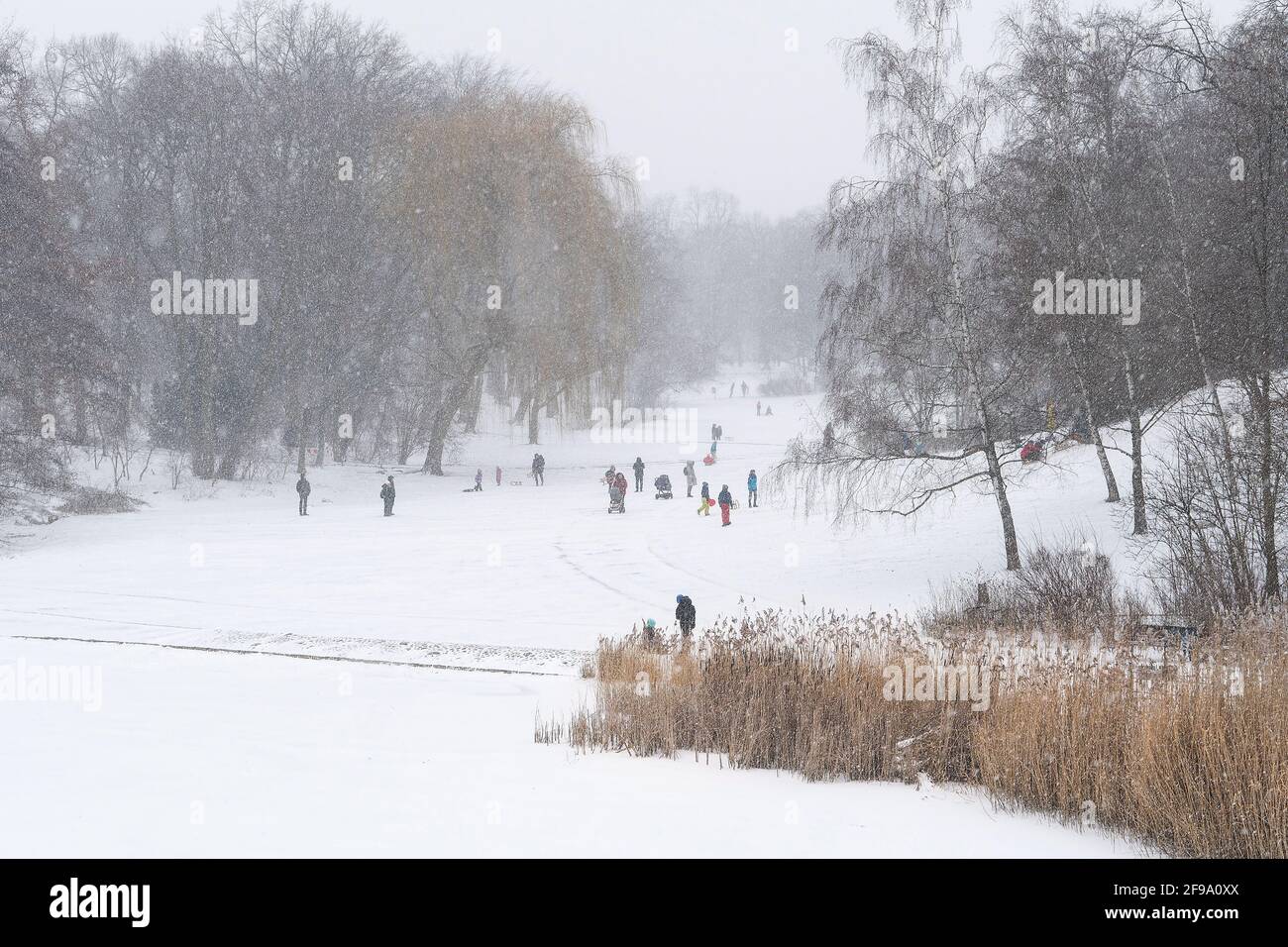Berlino-Schöneberg, Volkspark Schöneberg, neve soffiata, passeggini Foto Stock