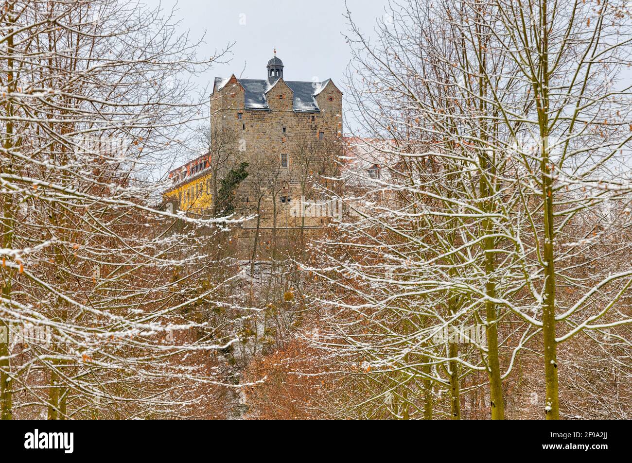 Schlosspark Ballenstedt im Inverno Foto Stock