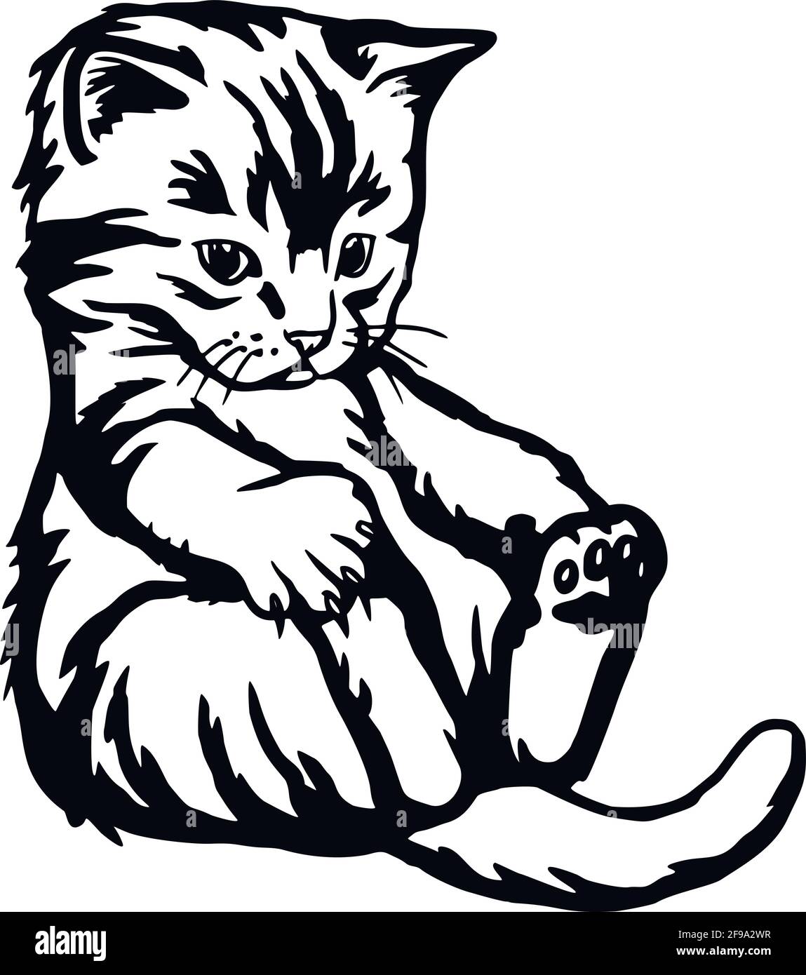 Gatto, gattino di Pechino - gattino allegro isolato su bianco - stock vettoriale Illustrazione Vettoriale