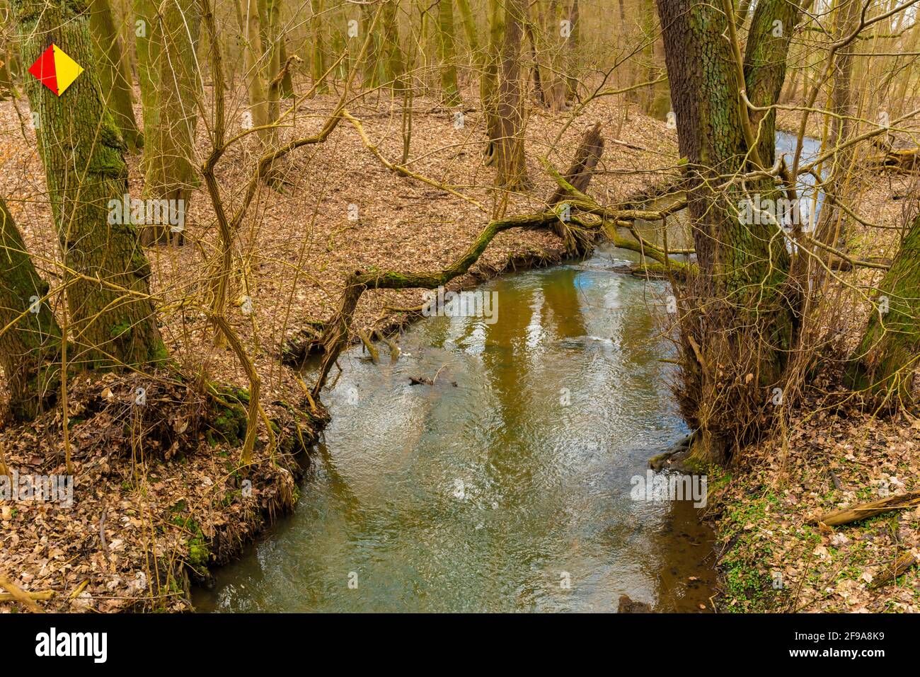 Piccolo fiume in inverno nella foresta in Germania, alberi sulla riva del fiume, acque di pesca, segno rosso/giallo sull'albero perché la pesca è proibita in primo piano, sul retro si può pescare Foto Stock