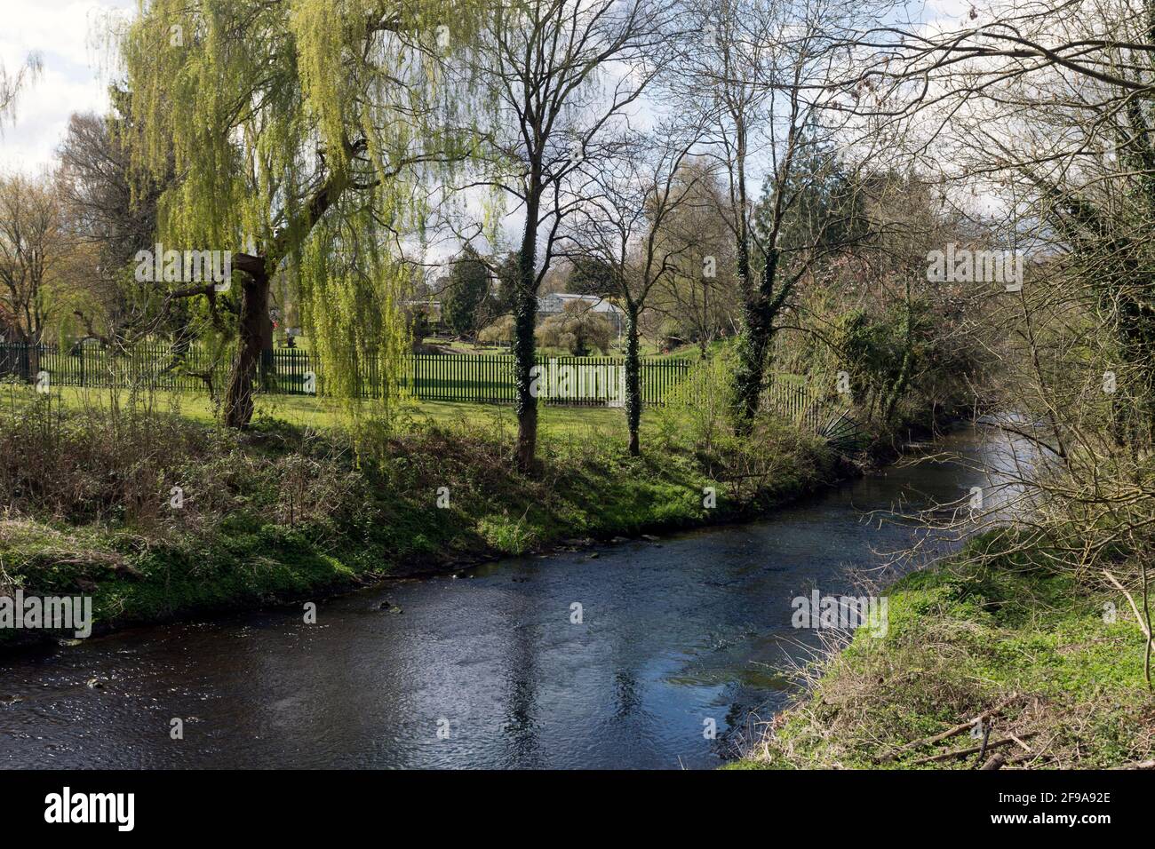 Il fiume Sowe in primavera, Baginton, Warwickshire, Inghilterra, Regno Unito Foto Stock