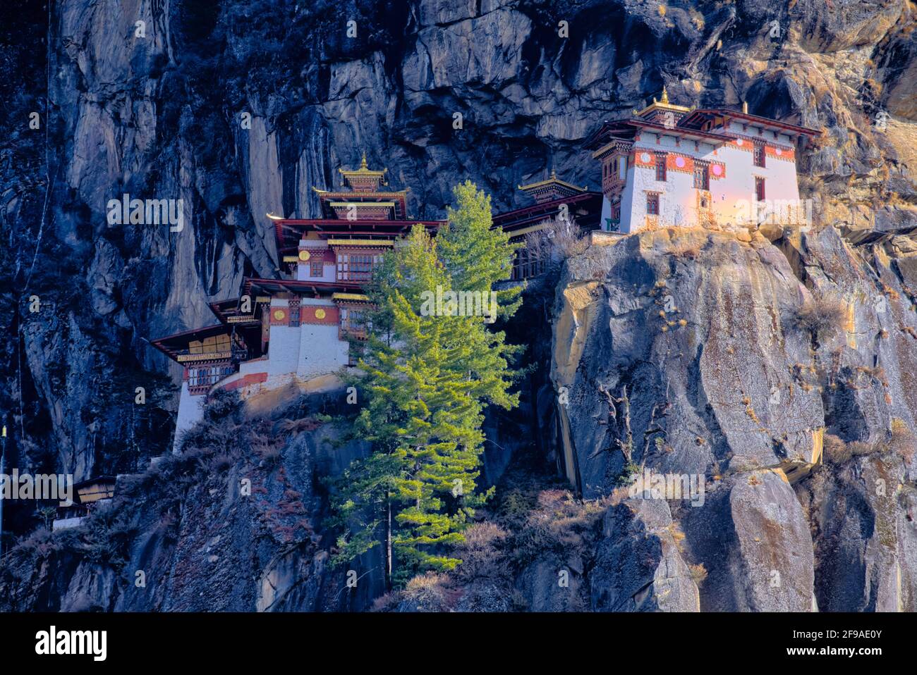 Tra il 1961 e il 1965, il monastero è stato ristrutturato dal 34° JE Khenpo, Shedrup Yoezer. Le aggiunte sono state fatte nel 1861-65 e 1982-83, e poi nel 1992 Foto Stock