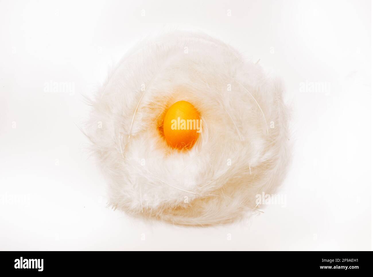 Uovo di Pasqua di colore giallo in un nido di piuma isolato sopra uno sfondo bianco Foto Stock