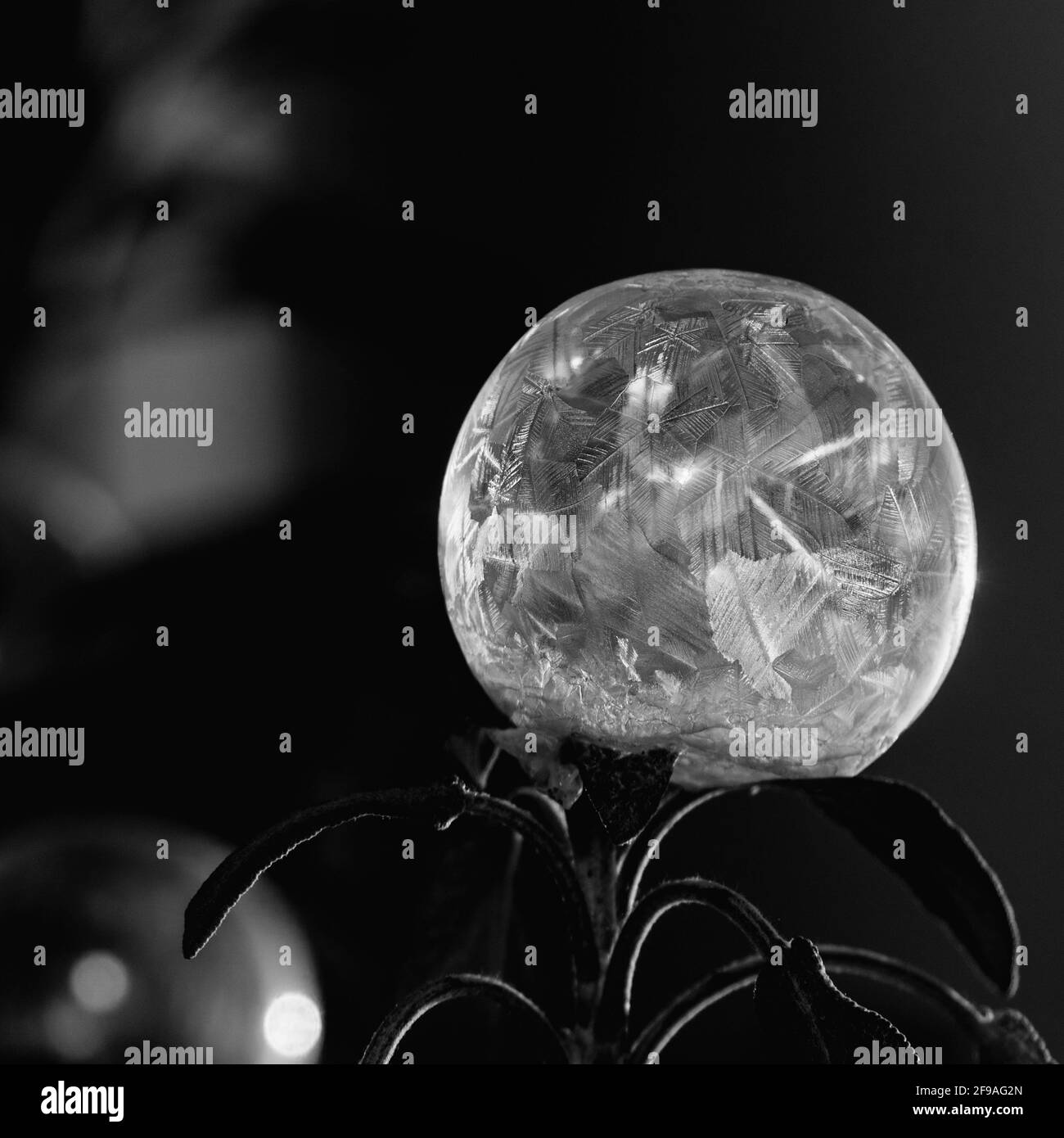 Esperimenti invernali: Bolle di sapone congelate, strutture ghiacciate Foto Stock