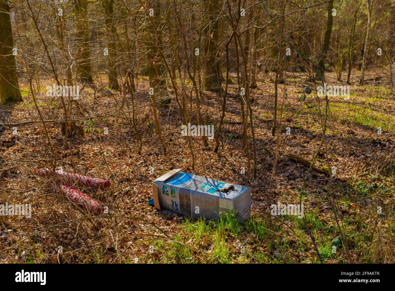 Germania, 22 marzo 2021, città di Luckenwalde, rifiuti illegali scaricati nella foresta in Germania Foto Stock