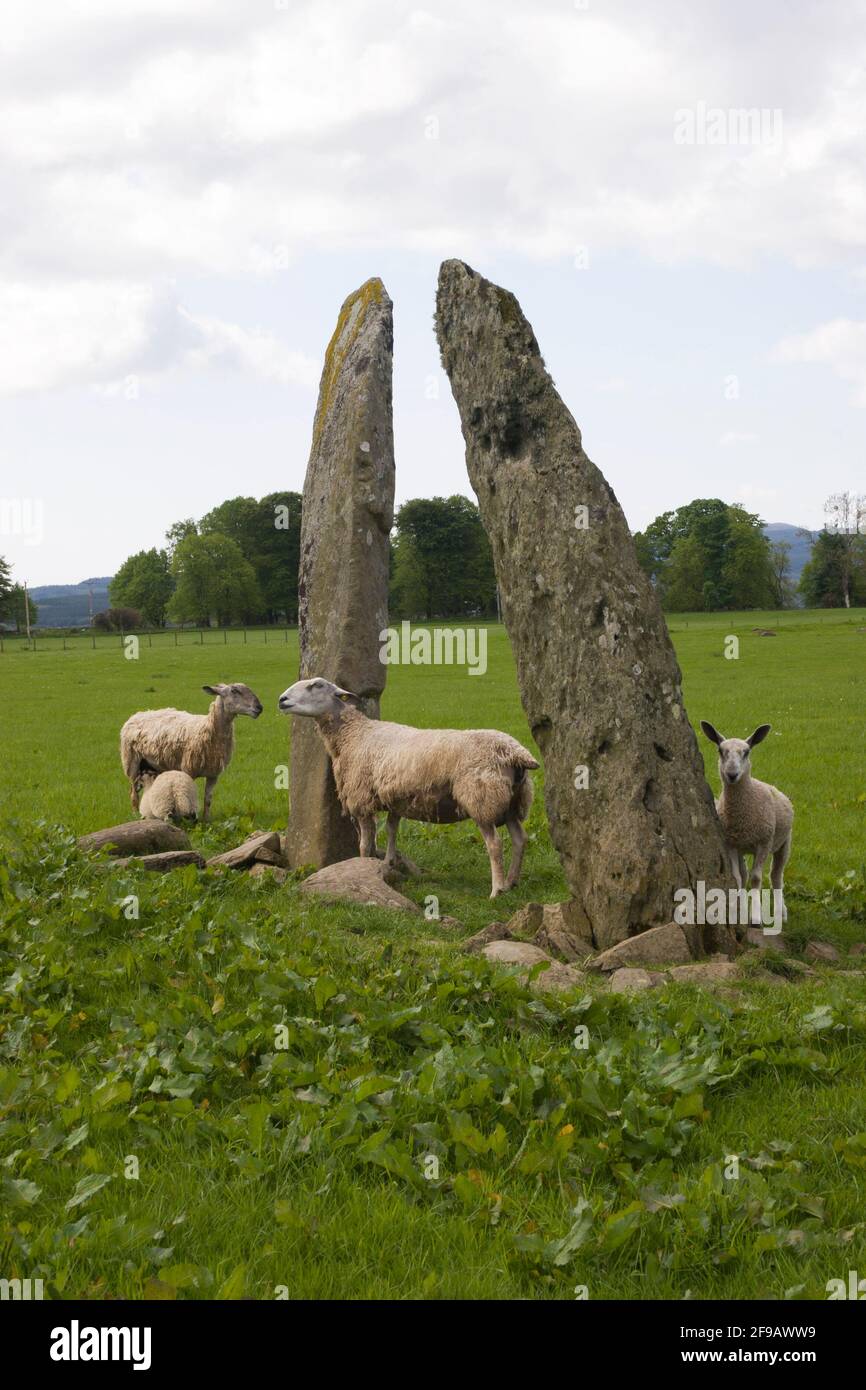 Pietre preistoriche a Ballymeanoch, Kilmartin, Argyll, Scozia Foto Stock