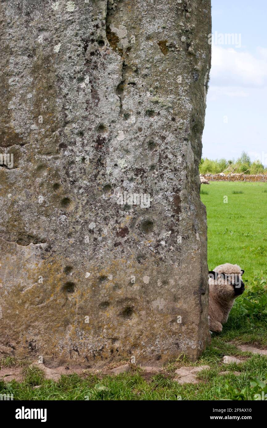 Pietre preistoriche a Ballymeanoch, Kilmartin, Argyll, Scozia Foto Stock