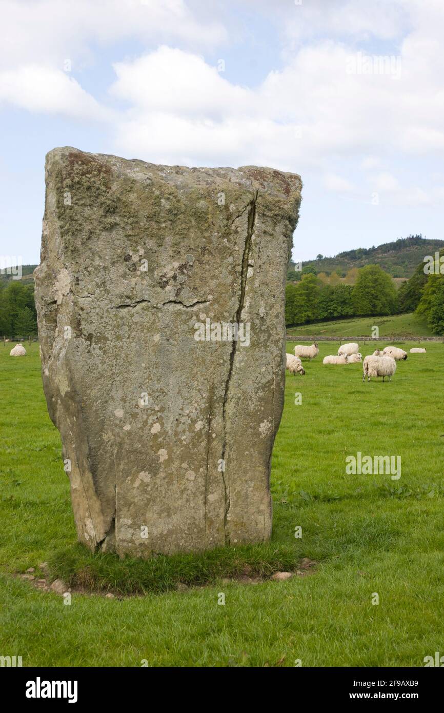 Pietre preistoriche a Nether Largie, Kilmartin, Argyll, Scozia Foto Stock