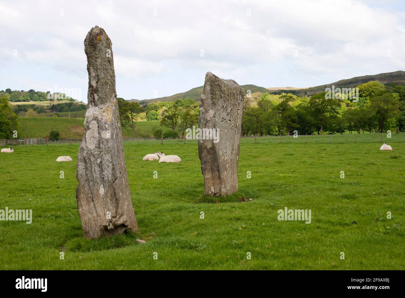 Pietre preistoriche a Nether Largie, Kilmartin, Argyll, Scozia Foto Stock