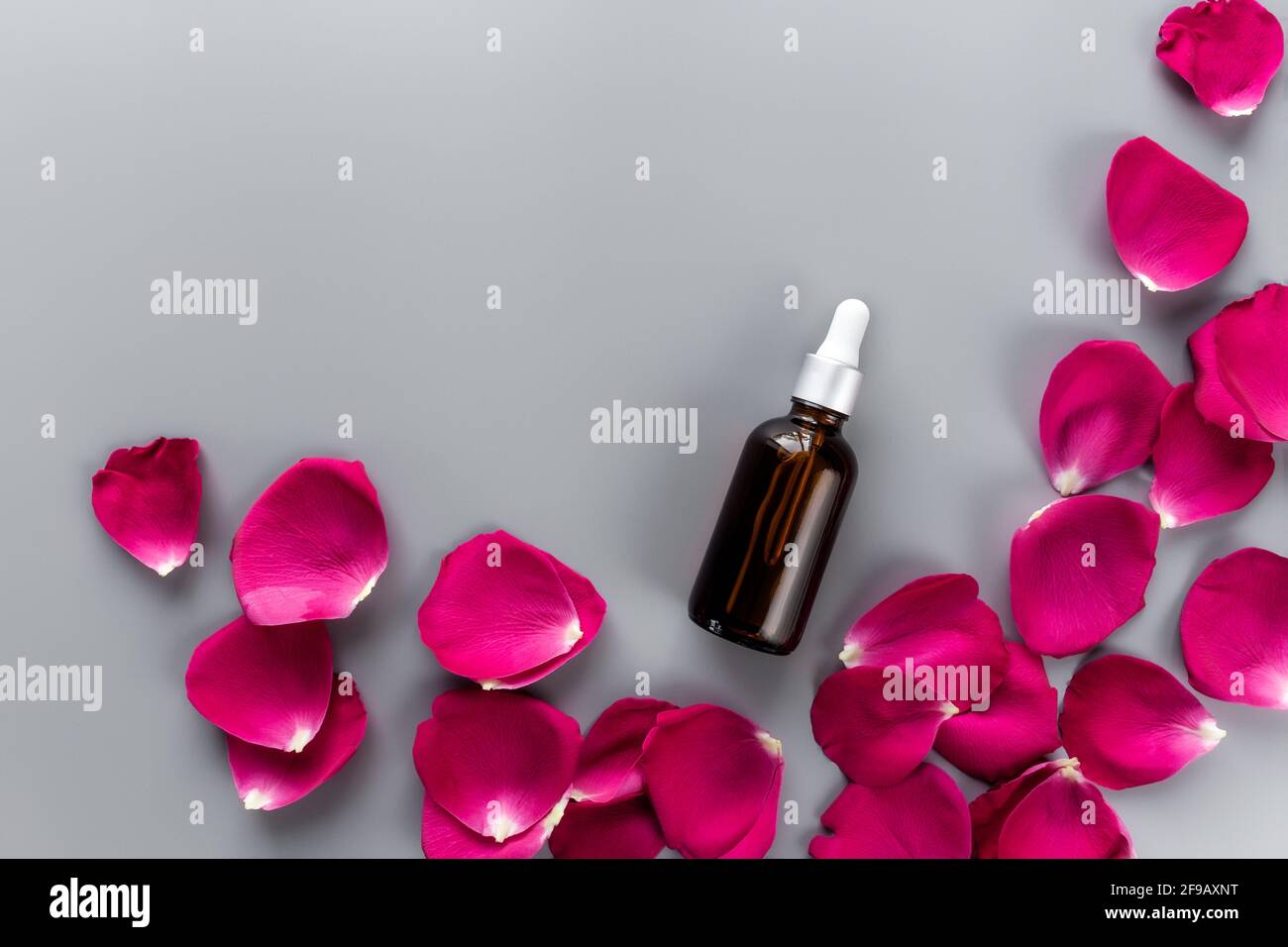 Bottiglia di olio essenziale di rosa con gruppo di rosa rossa petali su sfondo grigio Foto Stock