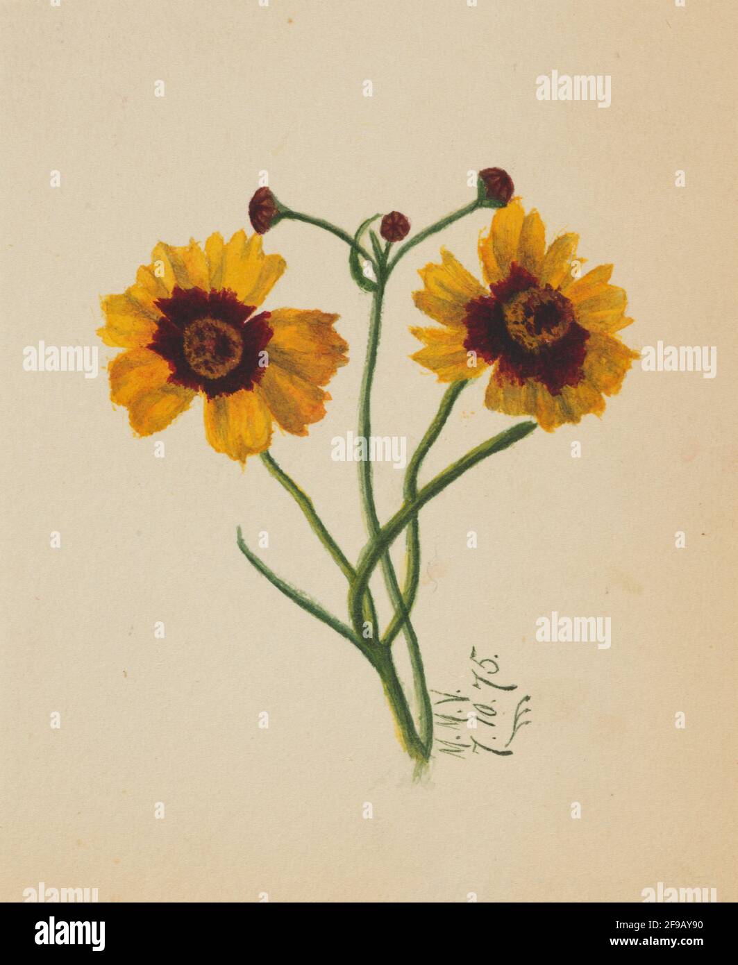 (Senza titolo), 1875. Foto Stock