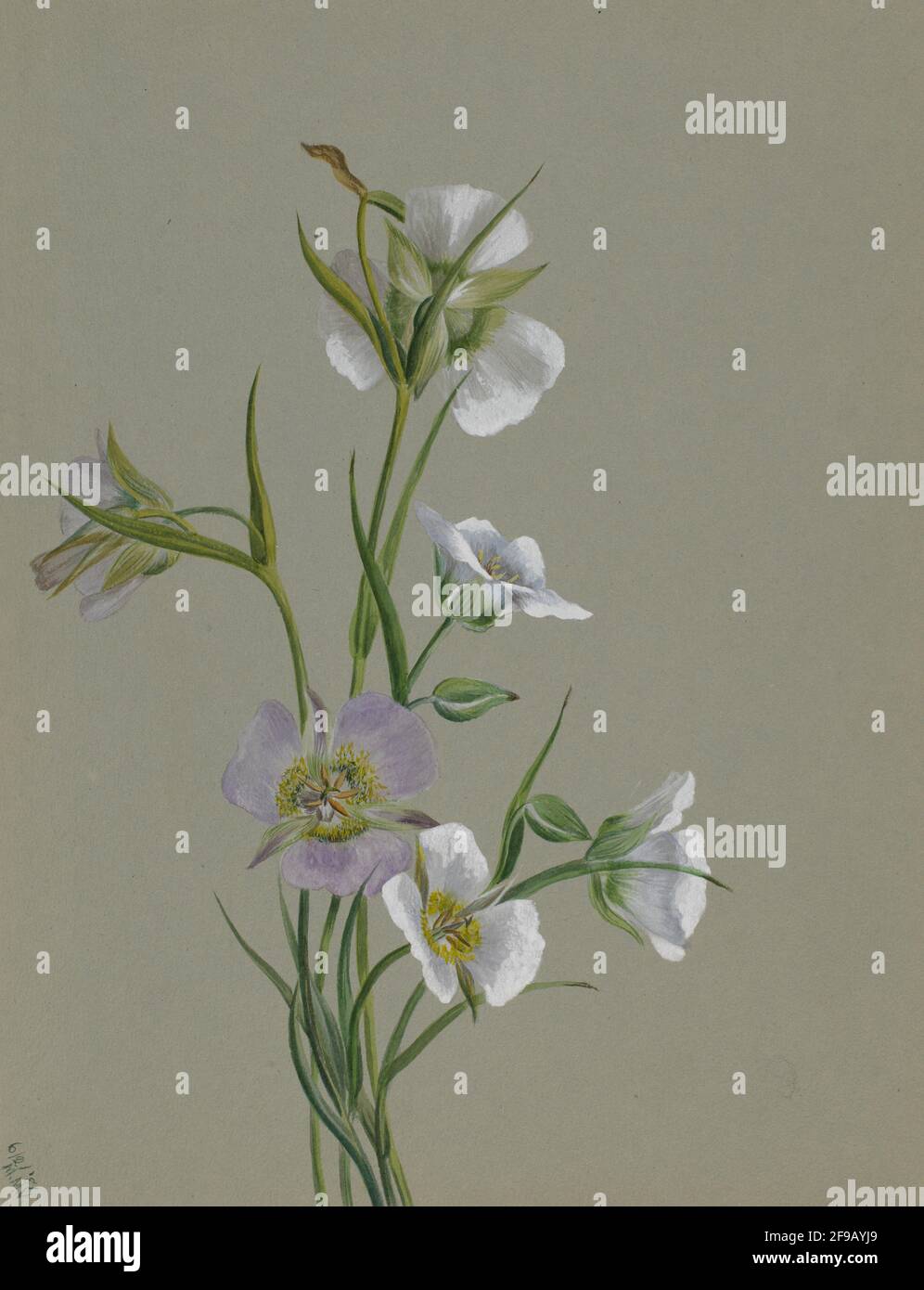 Sulla strada per il monumento, 1881. Foto Stock