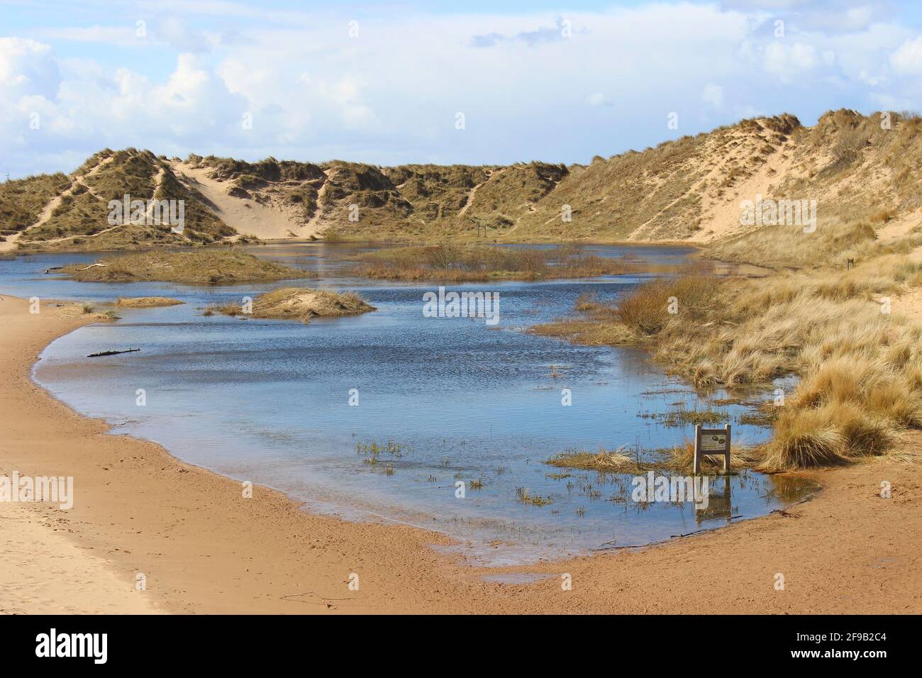Il Devil's Hole, un grande slack di dune con natterjack Toads di allevamento in Ravenmeols Sandhills Riserva Naturale locale, Formby, Sefton Coast, Regno Unito Foto Stock