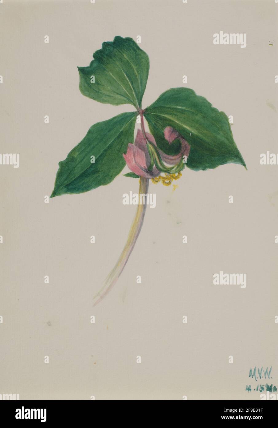 Senza titolo, ca. 1920. Foto Stock