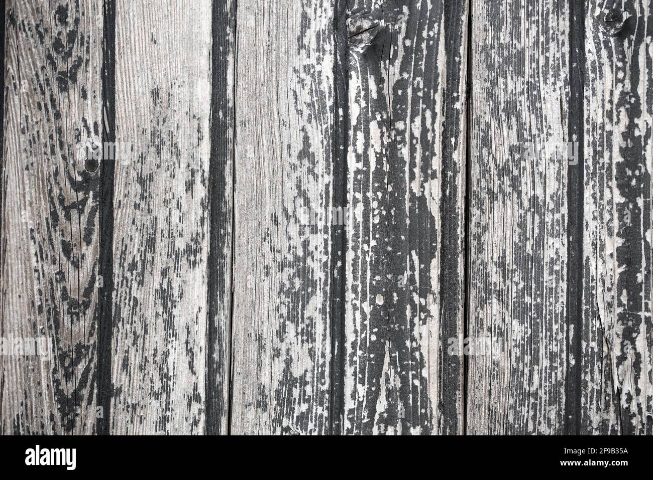 Tavole di legno texture sfondo. Superficie grigio chiaro di legno antico di colore naturale Foto Stock