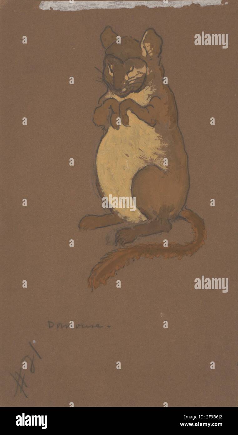 Dormouso (disegno in costume per Alice-in-Wonderland, 1915). Foto Stock
