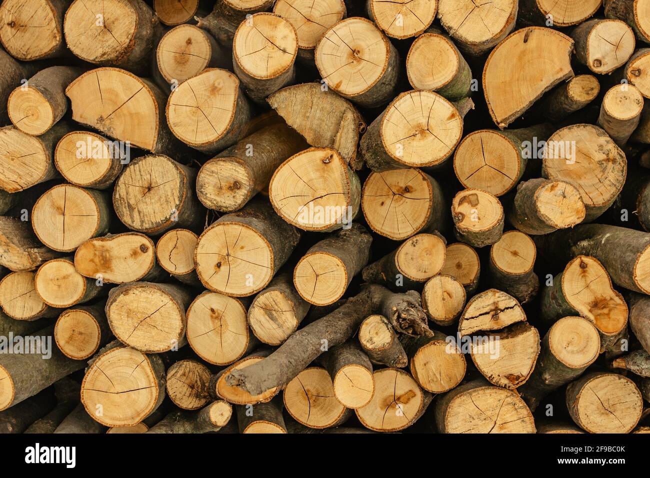 Dettagli di tessitura in legno. Pila di legna da ardere. Pila di tronchi di legno immagazzinato per inverno. Muro di boschi. Legno di fondo naturale. Stoccaggio di legna da ardere tagliata a secco Foto Stock