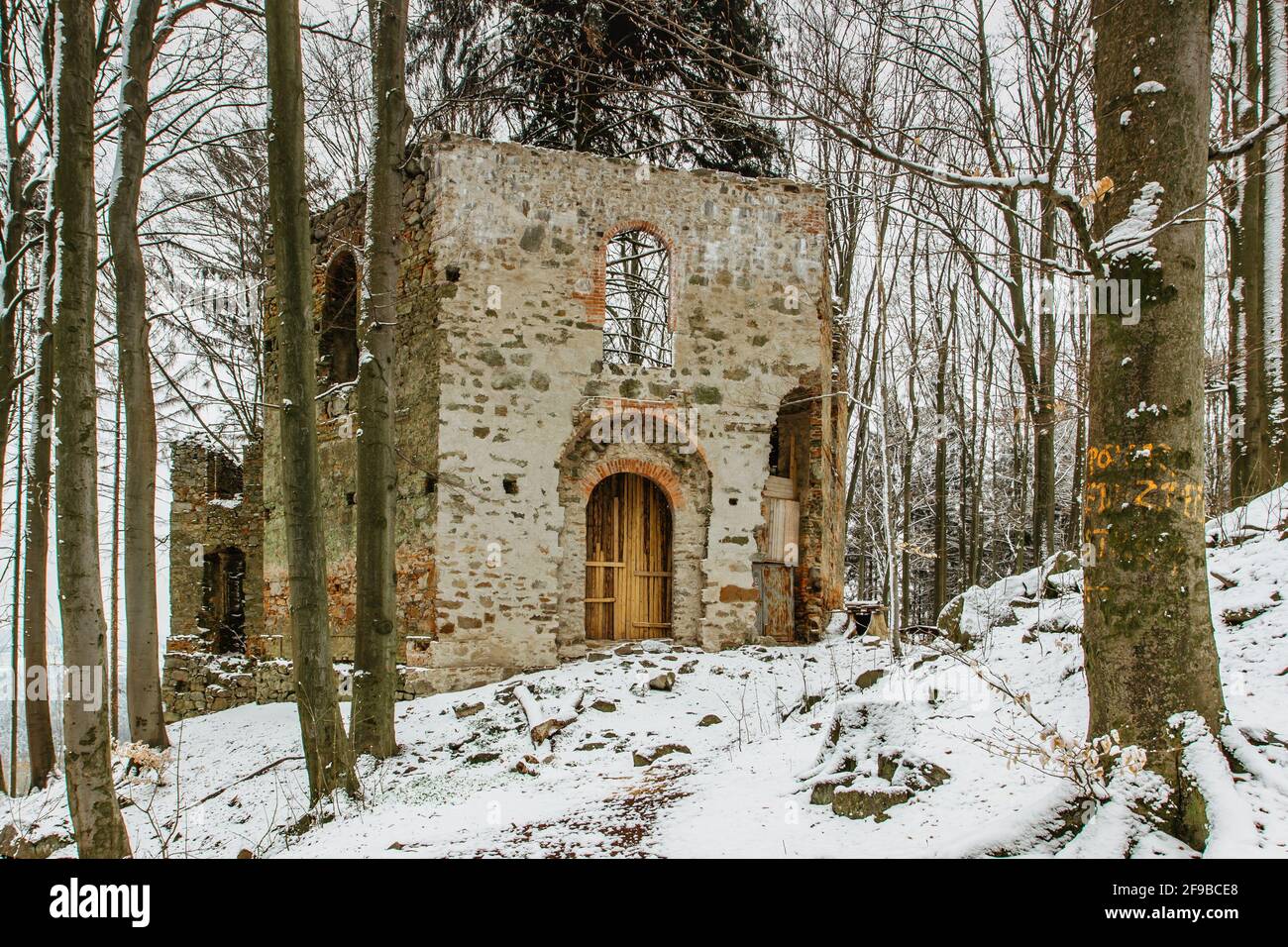 Rovine di Cappella di Santa Maria Maddalena sulla collina di Maly Blanik, Boemia centrale, Repubblica Ceca.luogo pellegrinaggio con grande abete rosso crescente Foto Stock