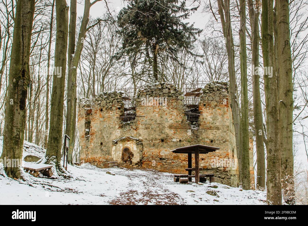 Rovine di Cappella di Santa Maria Maddalena sulla collina di Maly Blanik, Boemia centrale, Repubblica Ceca.luogo pellegrinaggio con grande abete rosso crescente Foto Stock