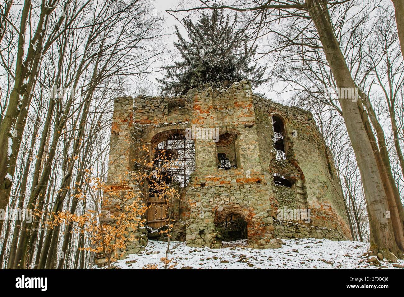 Rovine di Cappella di Santa Maria Maddalena sulla collina di Maly Blanik, Boemia centrale, Repubblica Ceca.luogo pellegrinaggio con grande abete rosso crescente Foto Stock