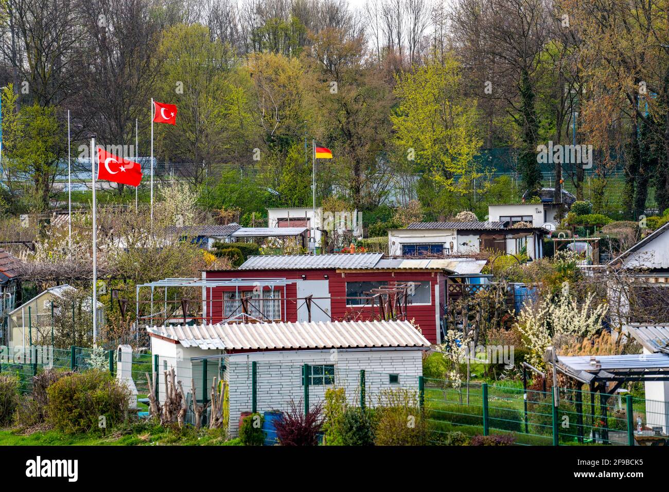 Giardini di assegnazione sulla diga del Reno vicino Duisburg-Beeckerwerth, associazione di Löwenburg allotment Garden, Duisburg, NRW, Germania Foto Stock