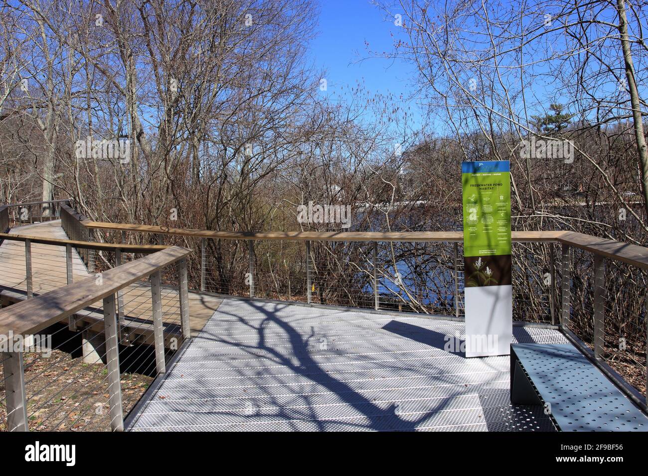 Riserva naturale di Avalon Stony Brook Long Island New York Foto Stock