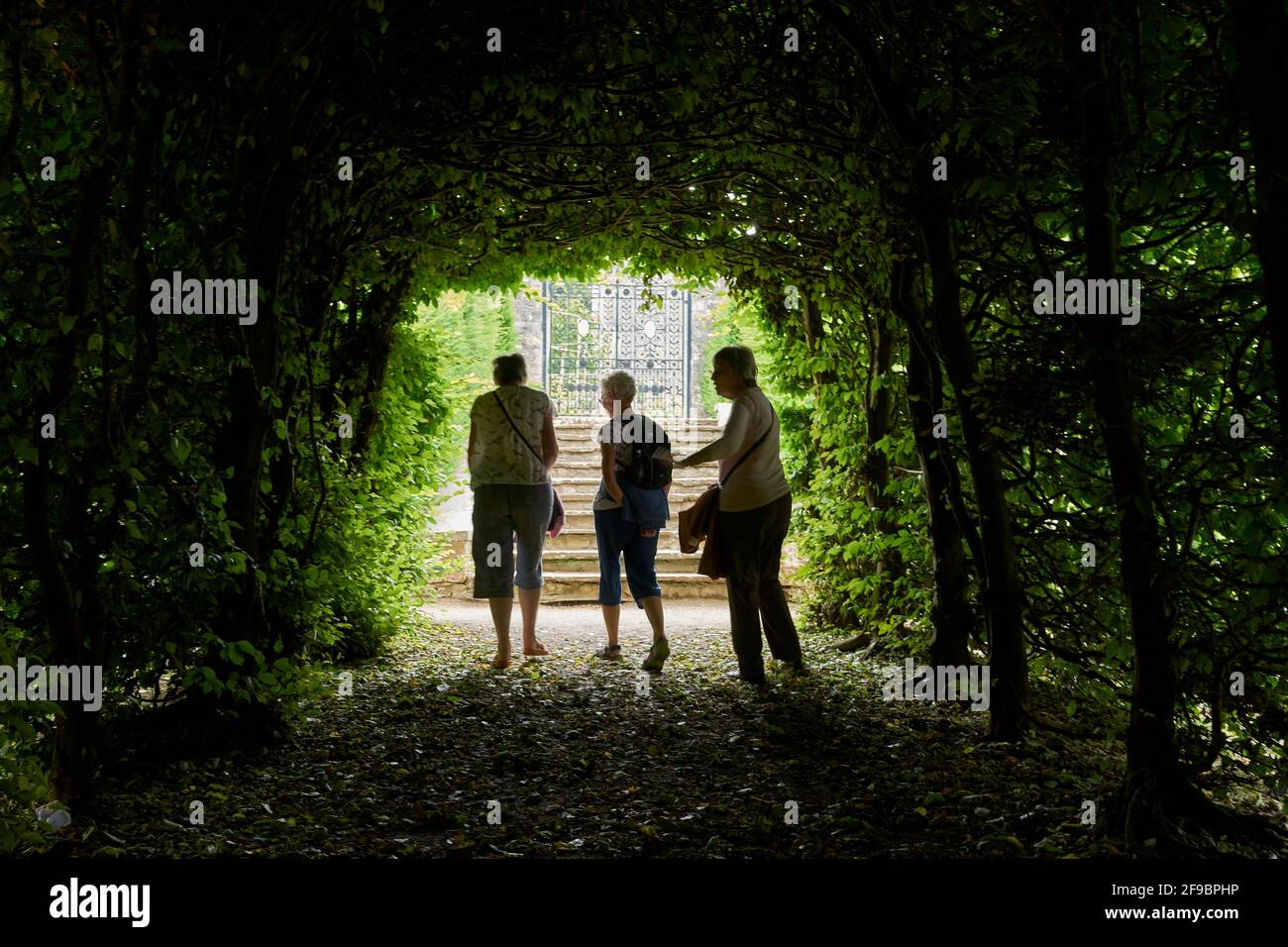 Tre donne anziane che camminano attraverso un arco di giardino. Foto Stock