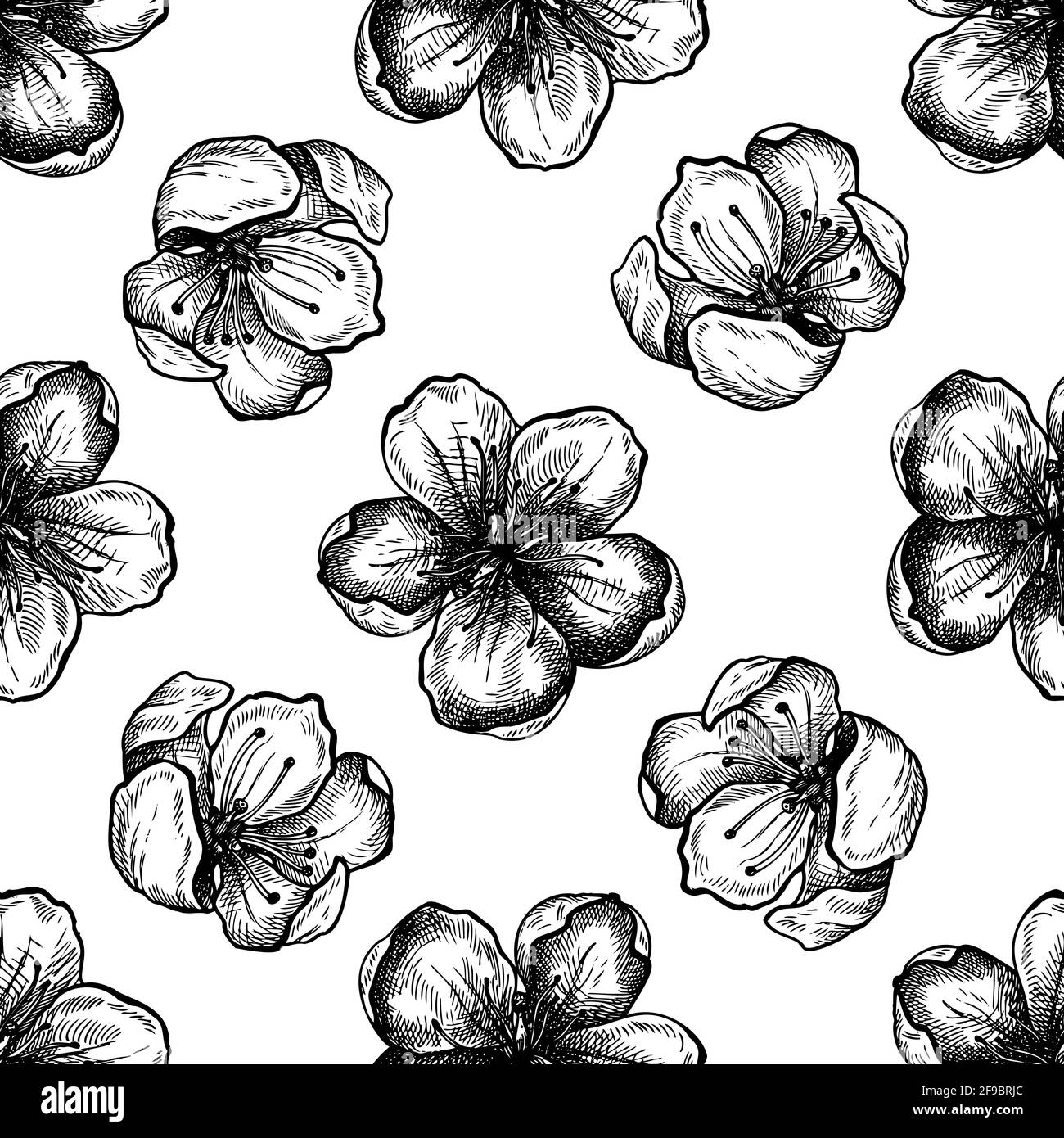 Motivo senza cuciture con fiori sakura bianchi e neri Illustrazione Vettoriale