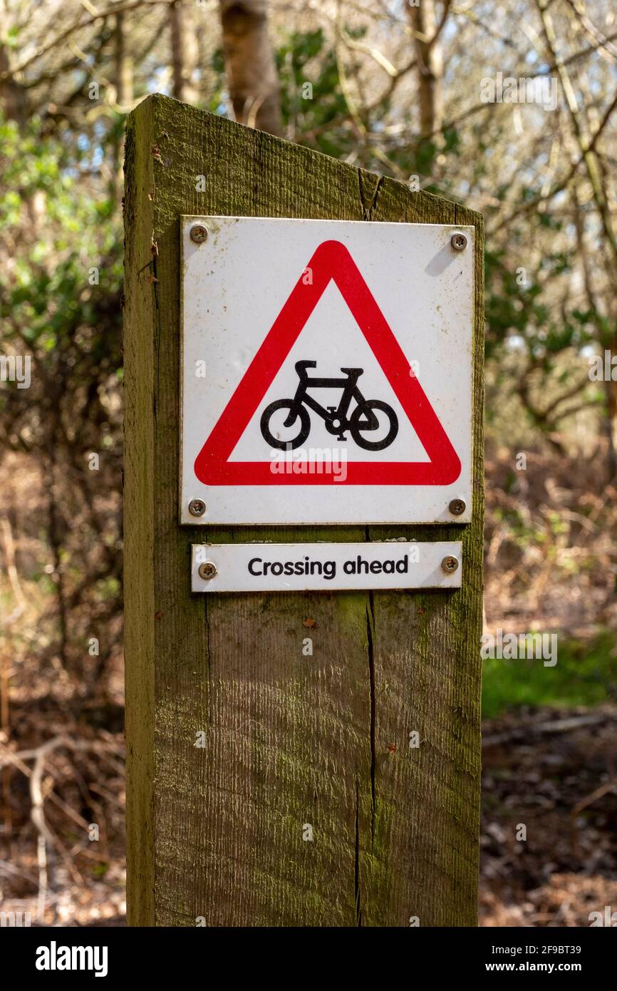 Un cartello di avvertimento per la traversata di una pista ciclabile su un palo di legno in una zona boschiva Foto Stock