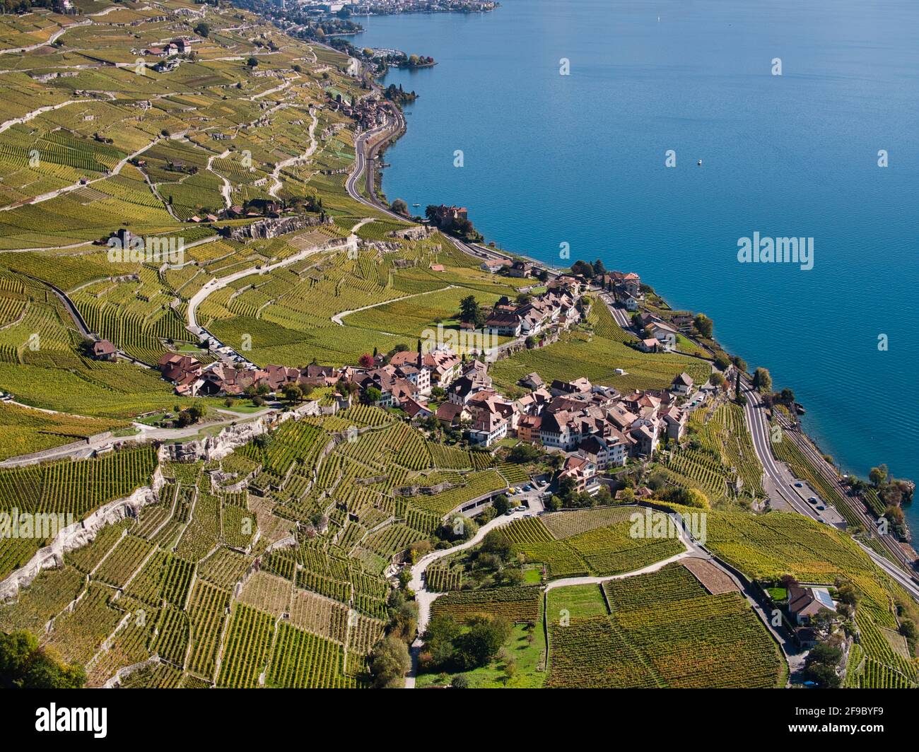 L'enologo svizzero villaggio di Rivaz sopra il Lago di Ginevra nel patrimonio culturale mondiale dell UNESCO area del Lavaux visto dall'aria in un drone foto Foto Stock