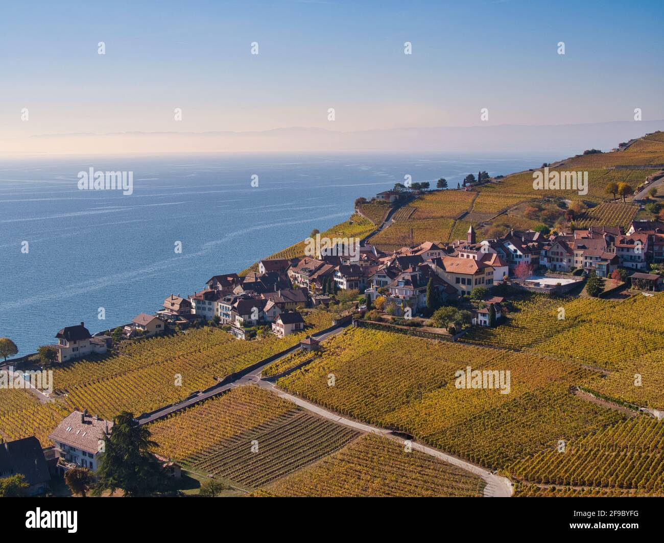 L'enologo svizzero villaggio di Rivaz sopra il Lago di Ginevra nel patrimonio culturale mondiale dell UNESCO area del Lavaux visto dall'aria in un drone foto Foto Stock