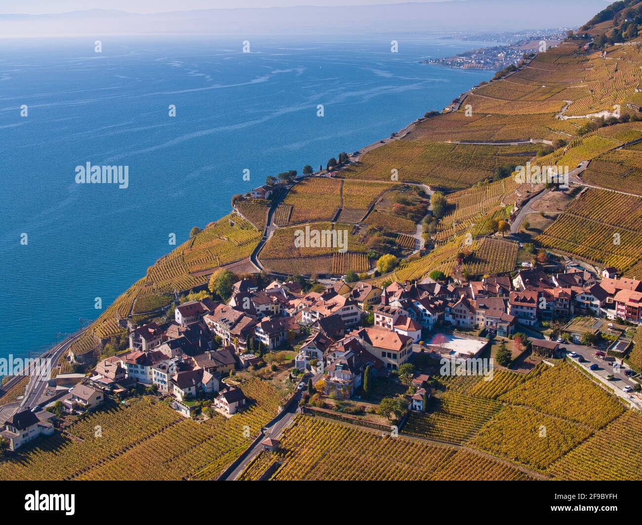 L'enologo svizzero villaggio di Rivaz sopra il Lago di Ginevra nel patrimonio culturale mondiale dell UNESCO area del Lavaux visto dall'aria in un drone foto Foto Stock