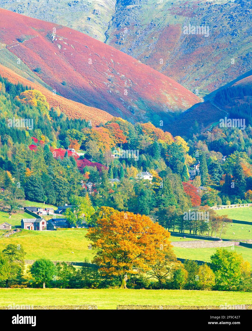Regno Unito, Inghilterra, Cumbria, Grasmere, Rydal Fell e Greenhead, autunno Foto Stock